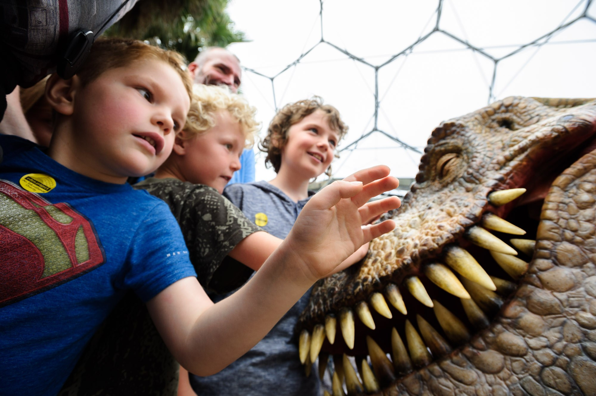 Event Reportage. Alexander Kabanov Photographer