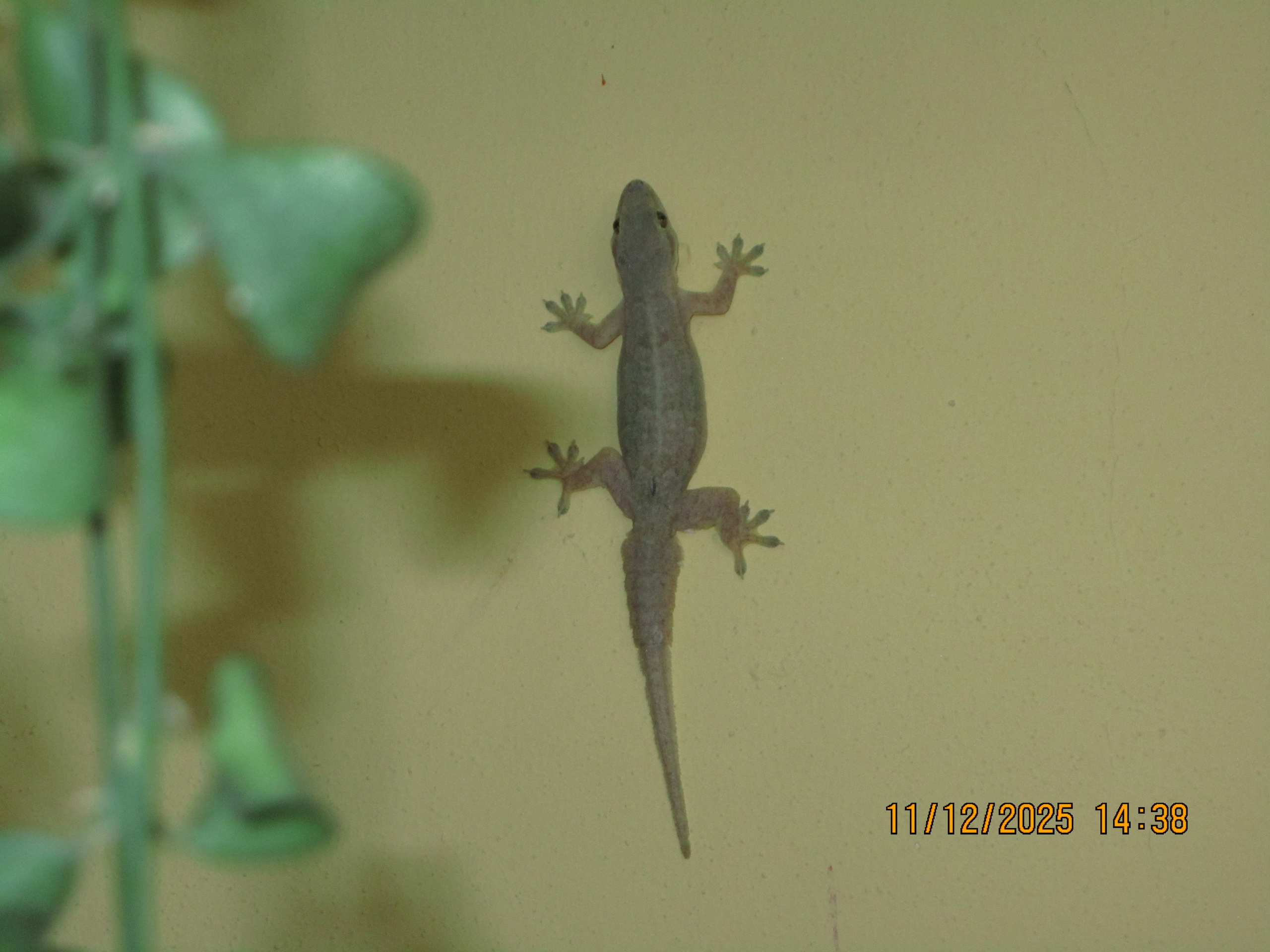 Seitsmeteistkümnes päev. LondoSpeed Photography