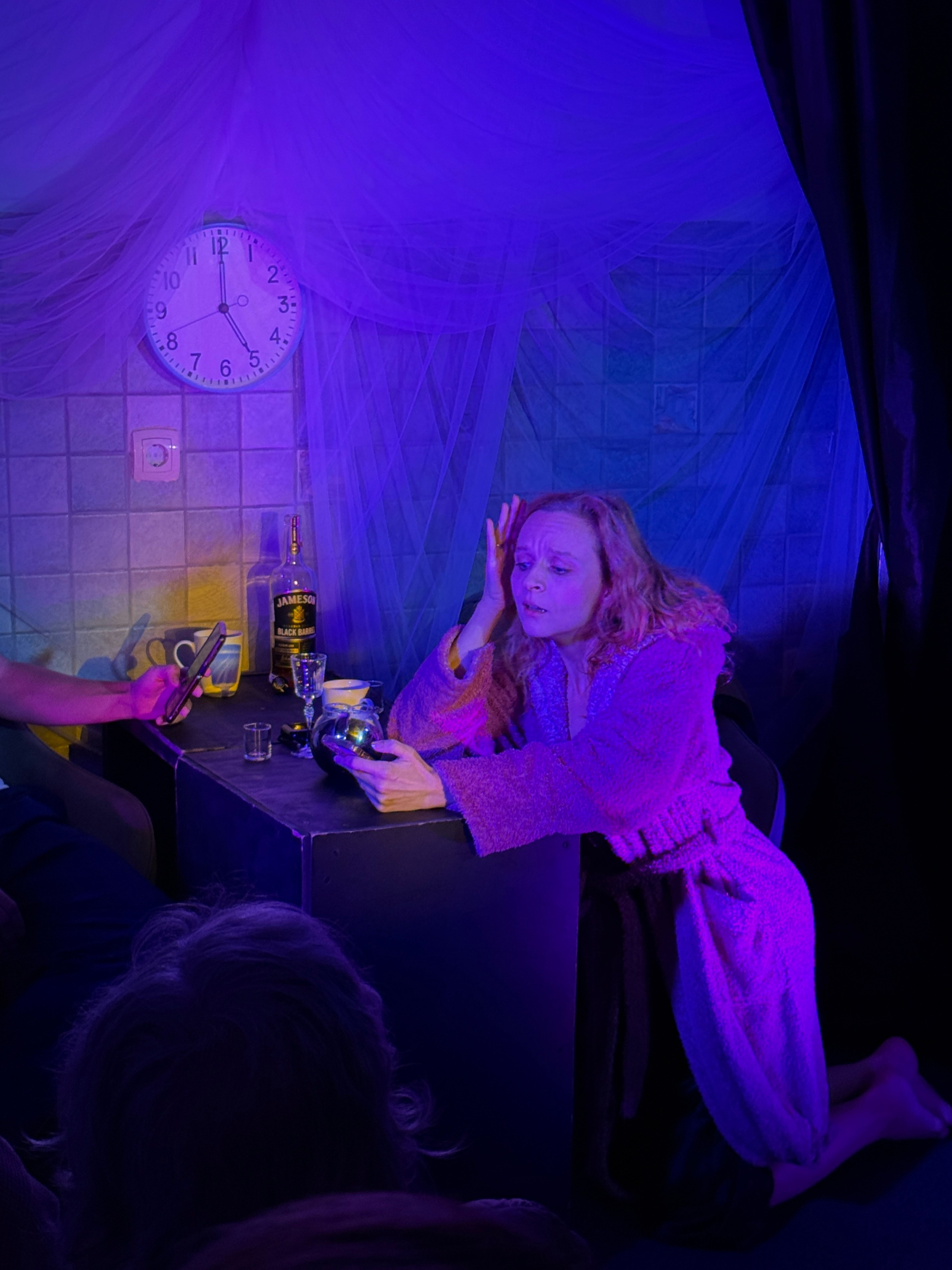 Фоторепортаж вистави у Будві. Портретний фотограф Альона Новгородцева