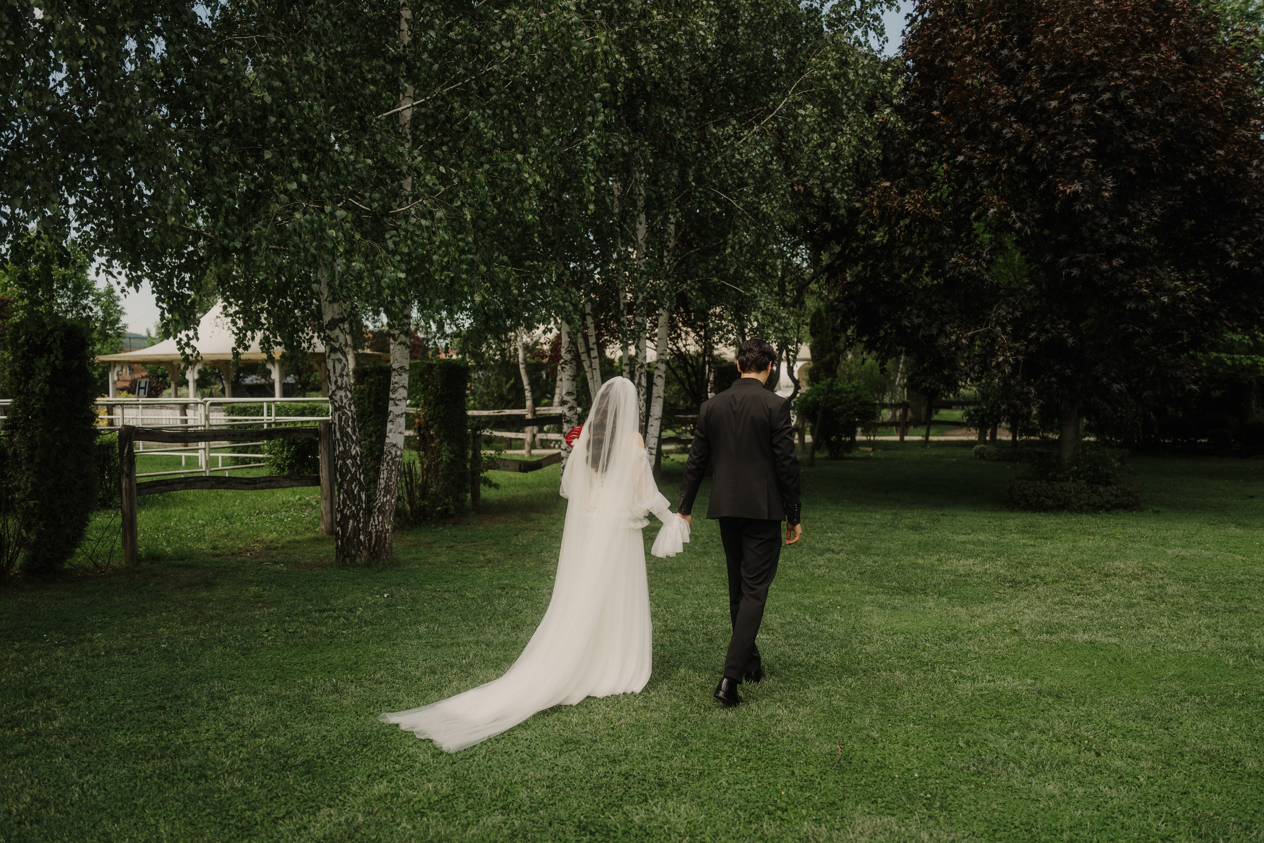 Diana și Paul. Visuals of Theodor — Wedding Photographer