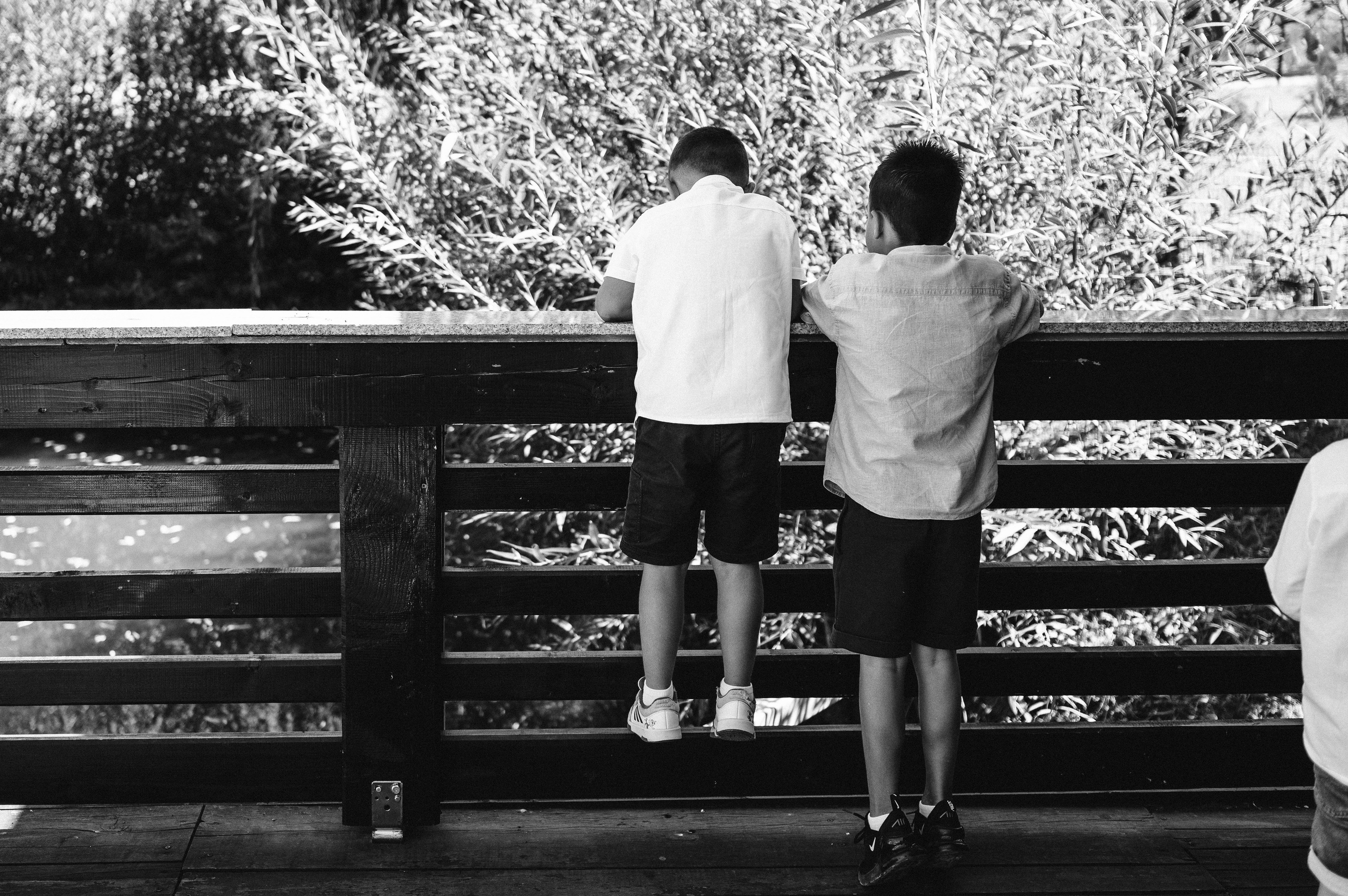 Ionut si Mihaela. Valentin Melen — wedding photographer