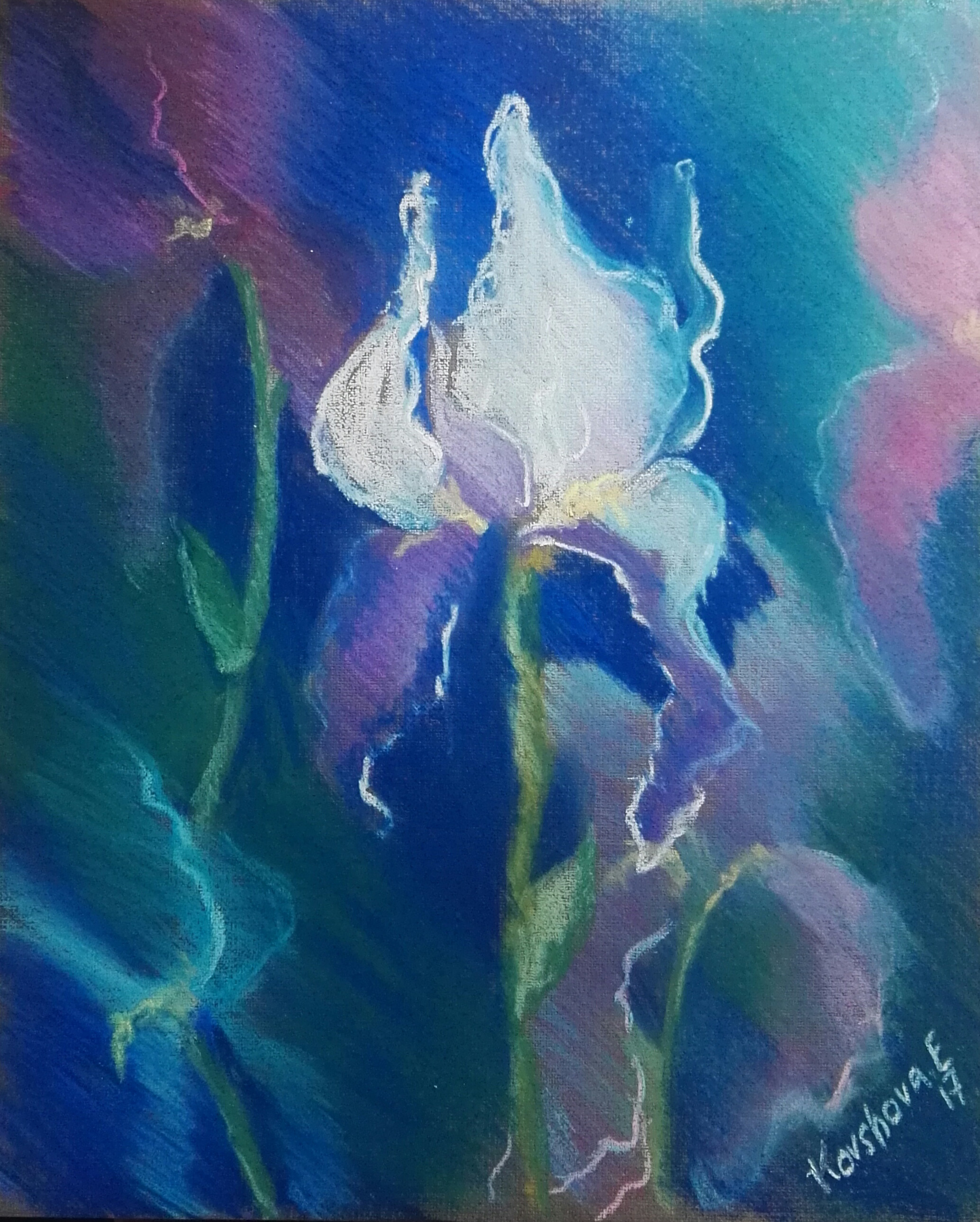 Just Flowers. Professional Artist, teacher of art, Artistic Photographer In Dubai (U