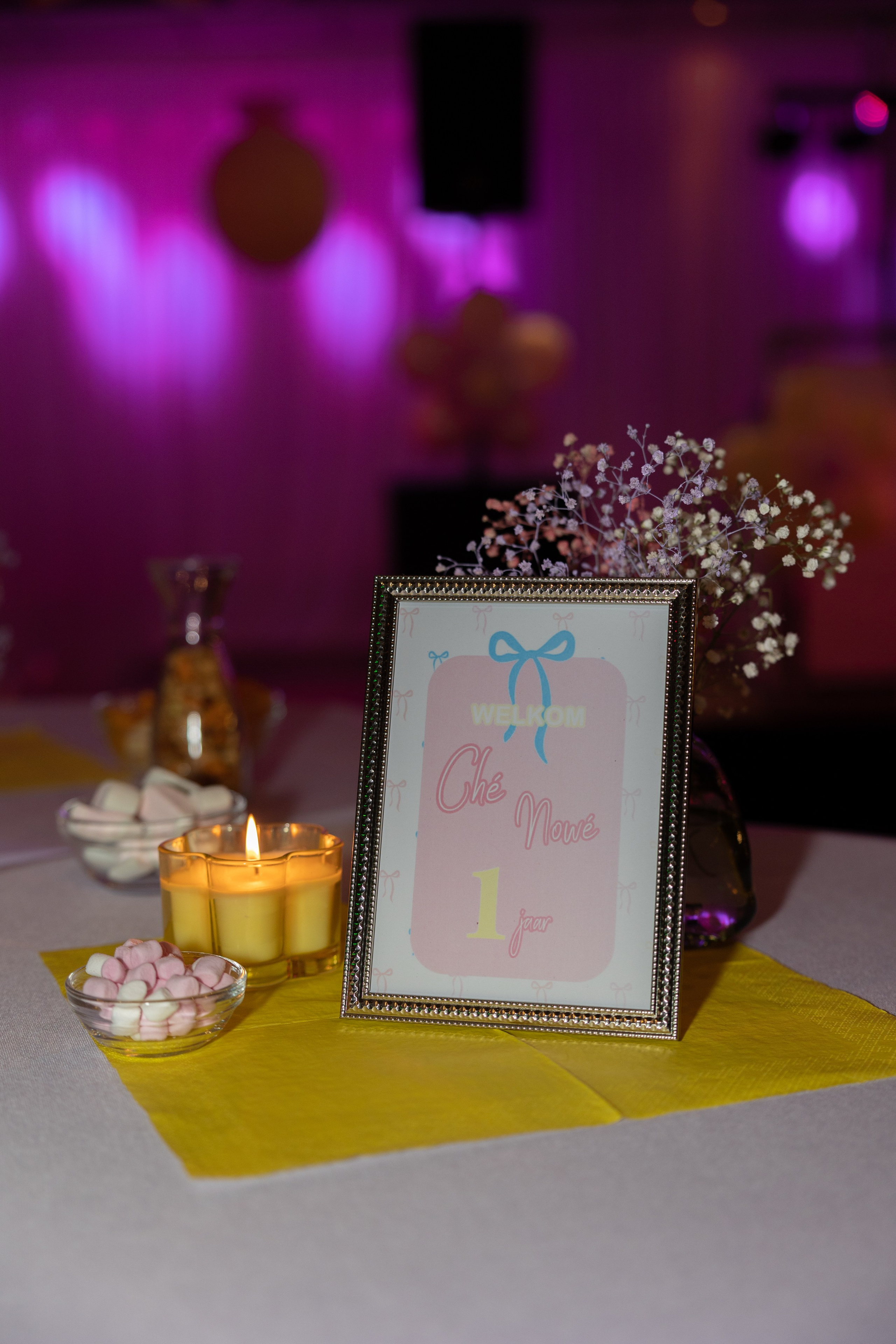 1 st Birthday. Portrait and Family Photographer in Netherlands