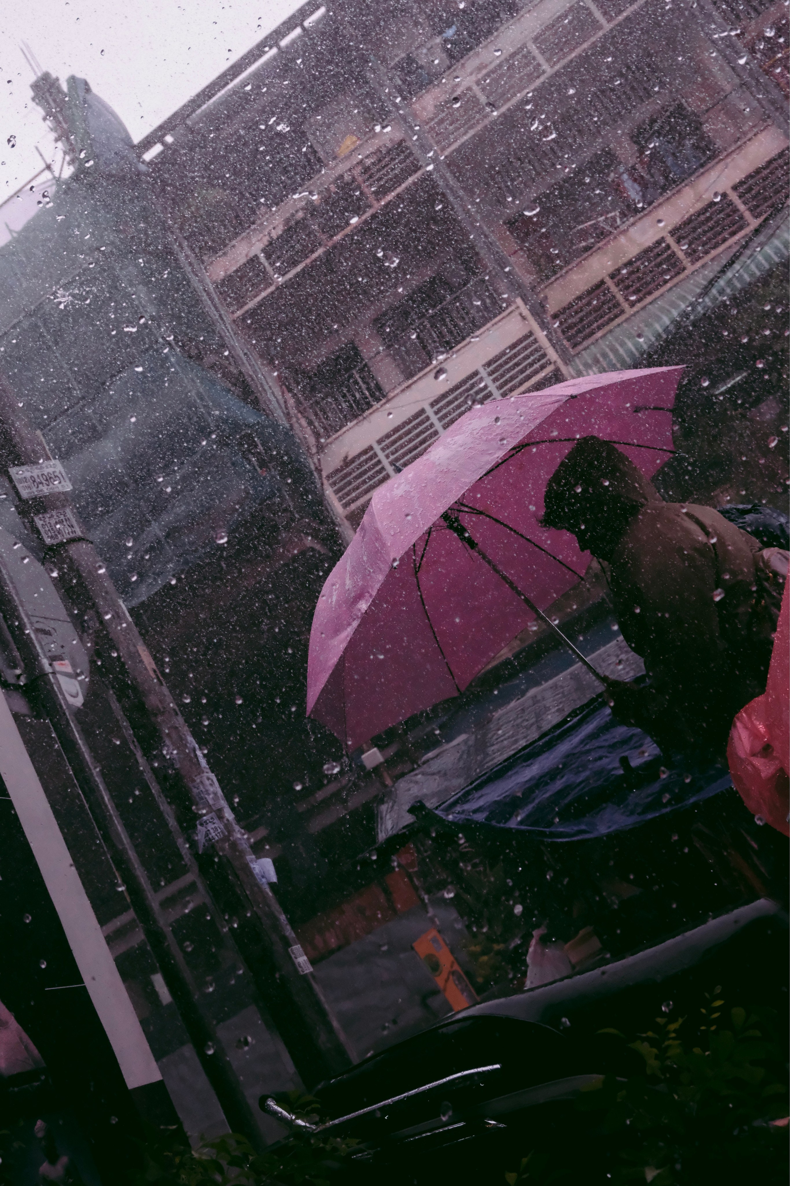 Photography. Fermented Solipsism artist & documentary photographer in California