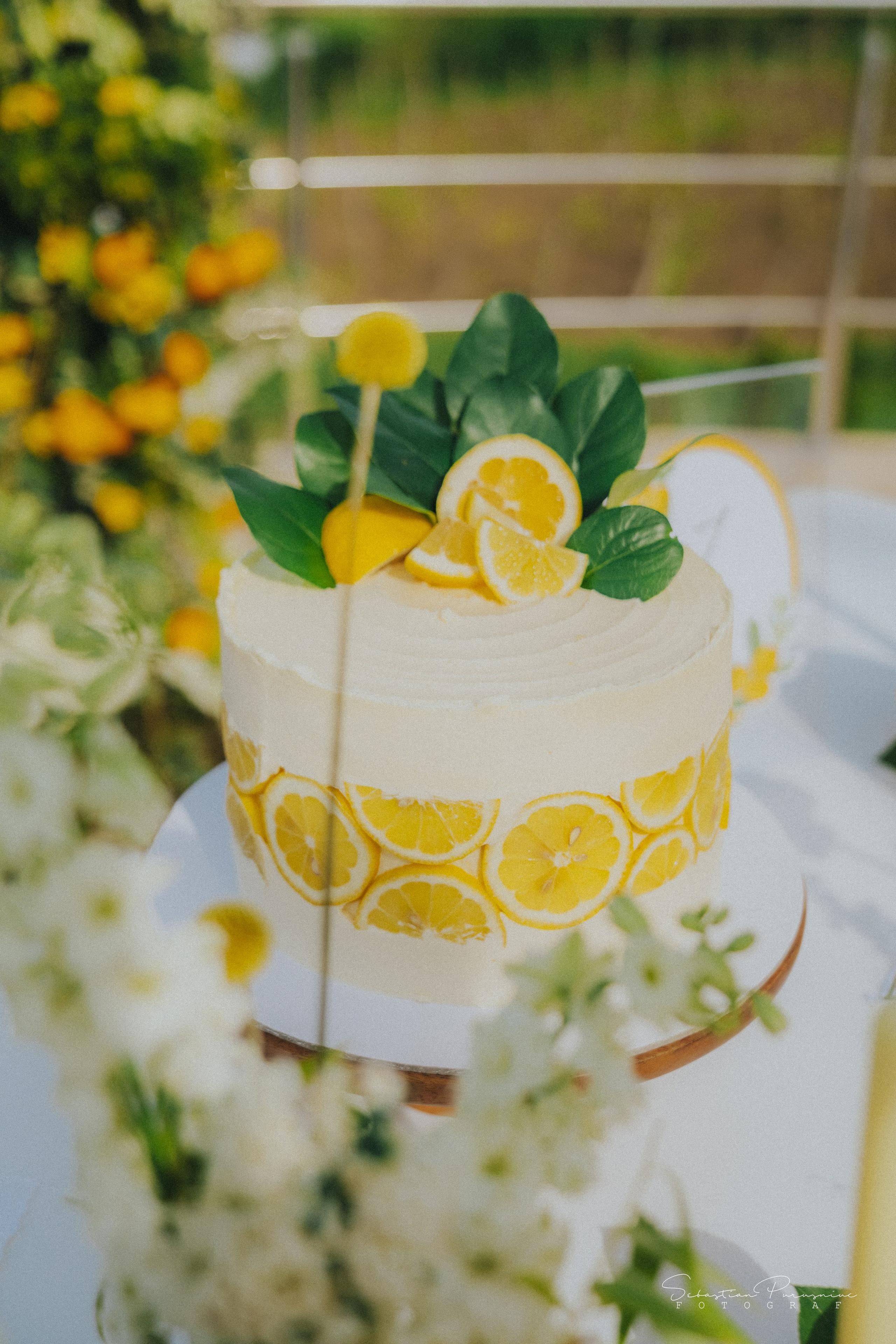 Love & Lemons. Sebastian Purusniuc Fotograf - Iasi