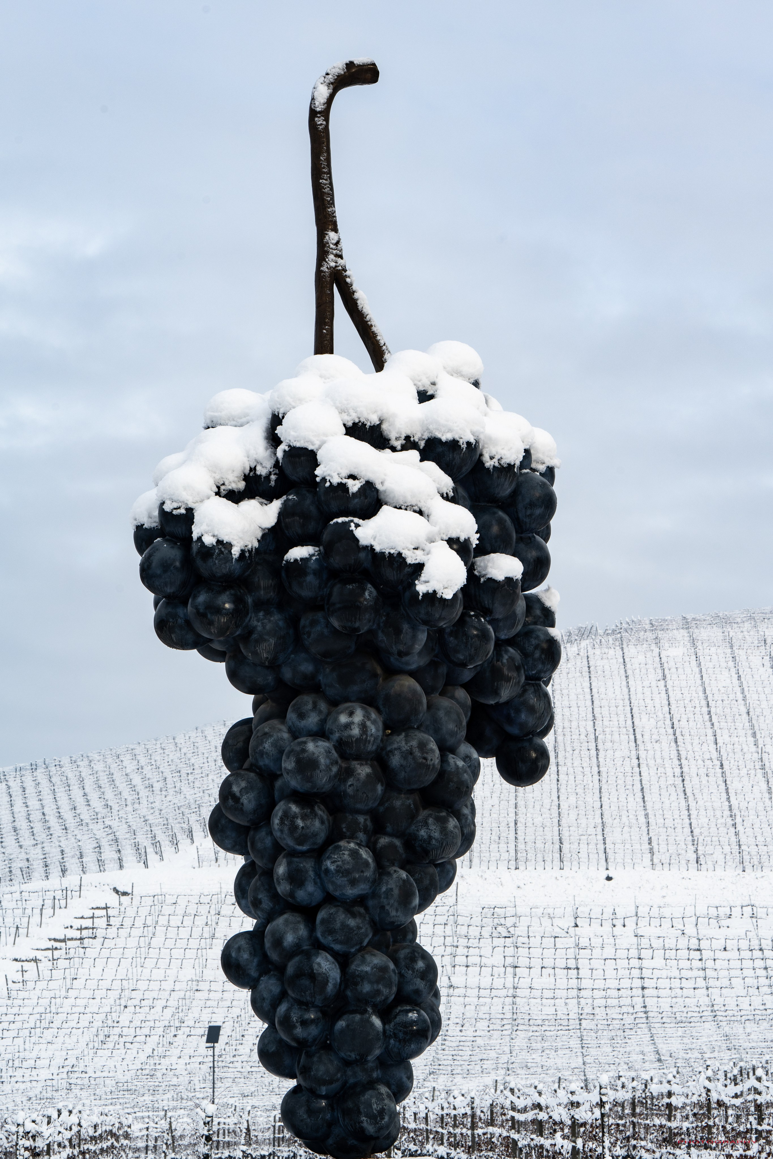 “Gianmaria Coscia fotografo per passione”