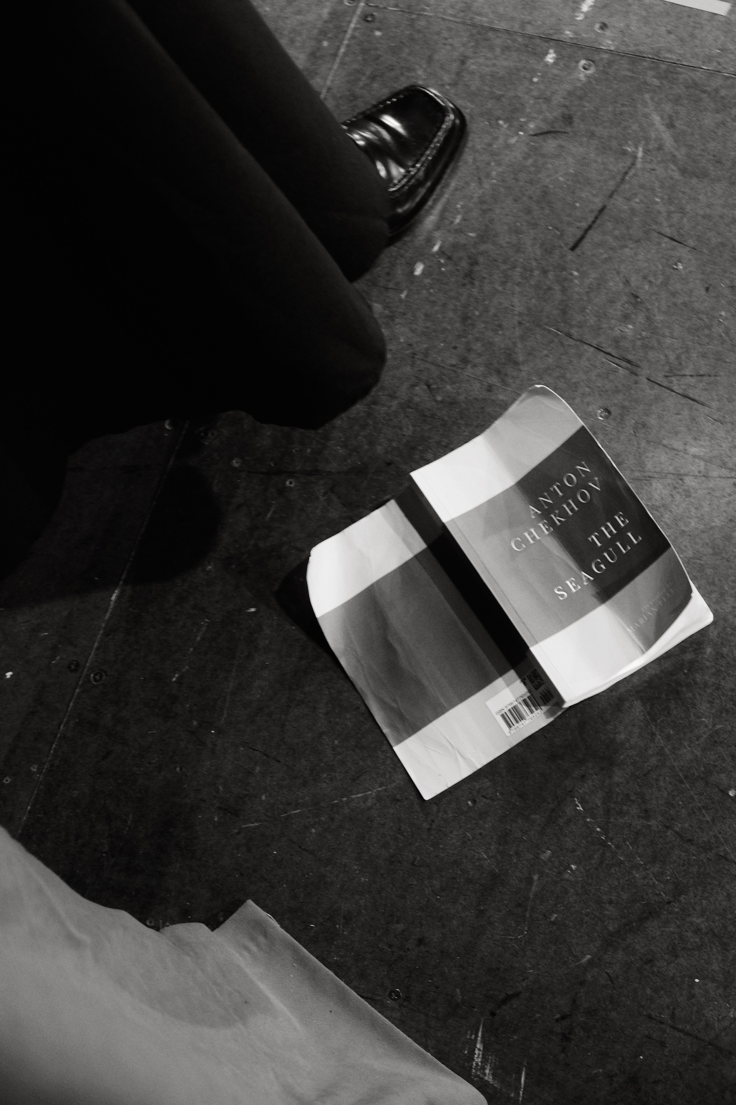 Play by Sasha Molochnikov “Seagull”. New York Photographer Sveta Zemskova, NYC Photo