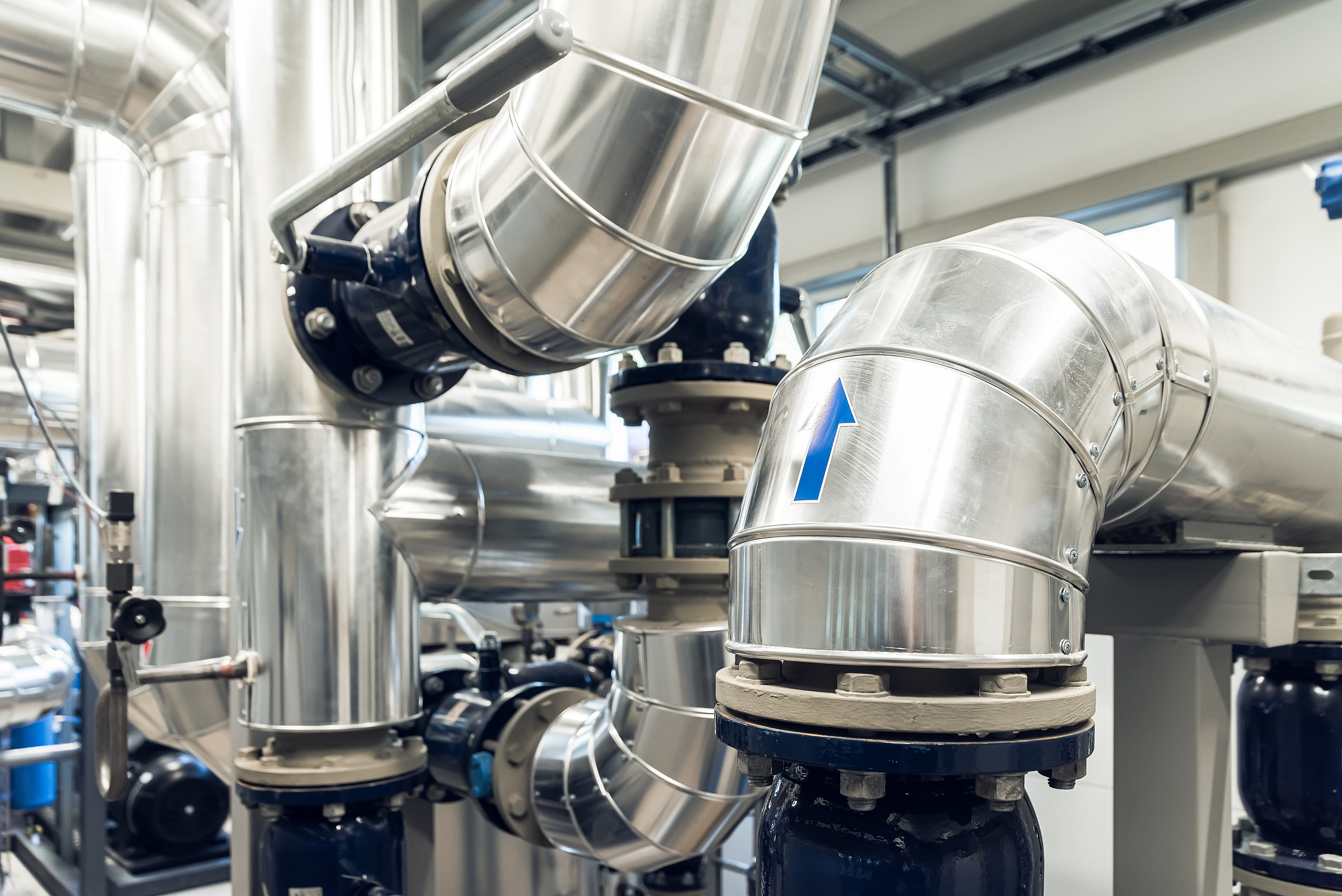 Salaspils Siltums. Fotogrāfs Rīgā. Gīmenes, individuālās un dažādu produktu fotosesijas