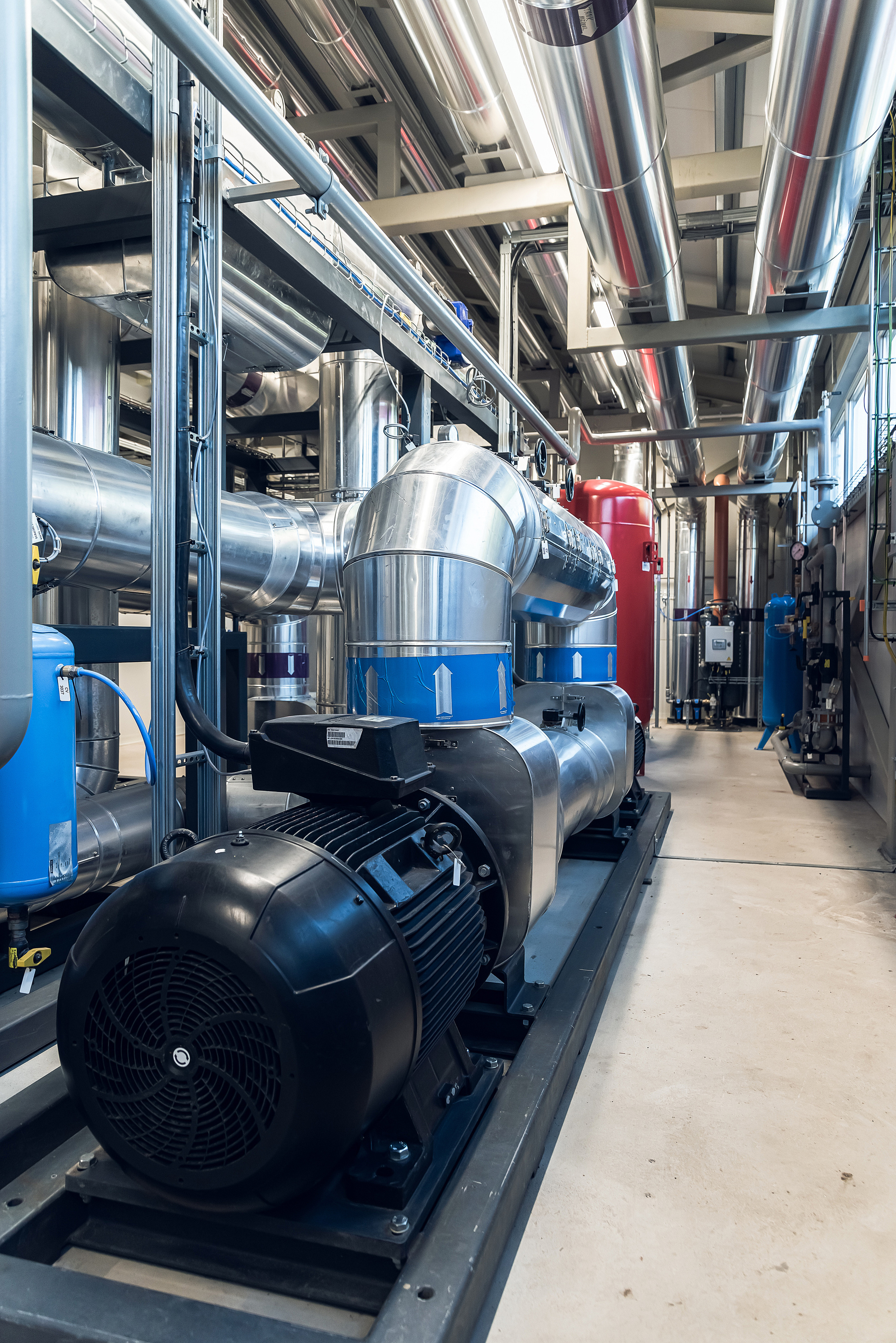 Salaspils Siltums. Fotogrāfs Rīgā. Gīmenes, individuālās un dažādu produktu fotosesijas