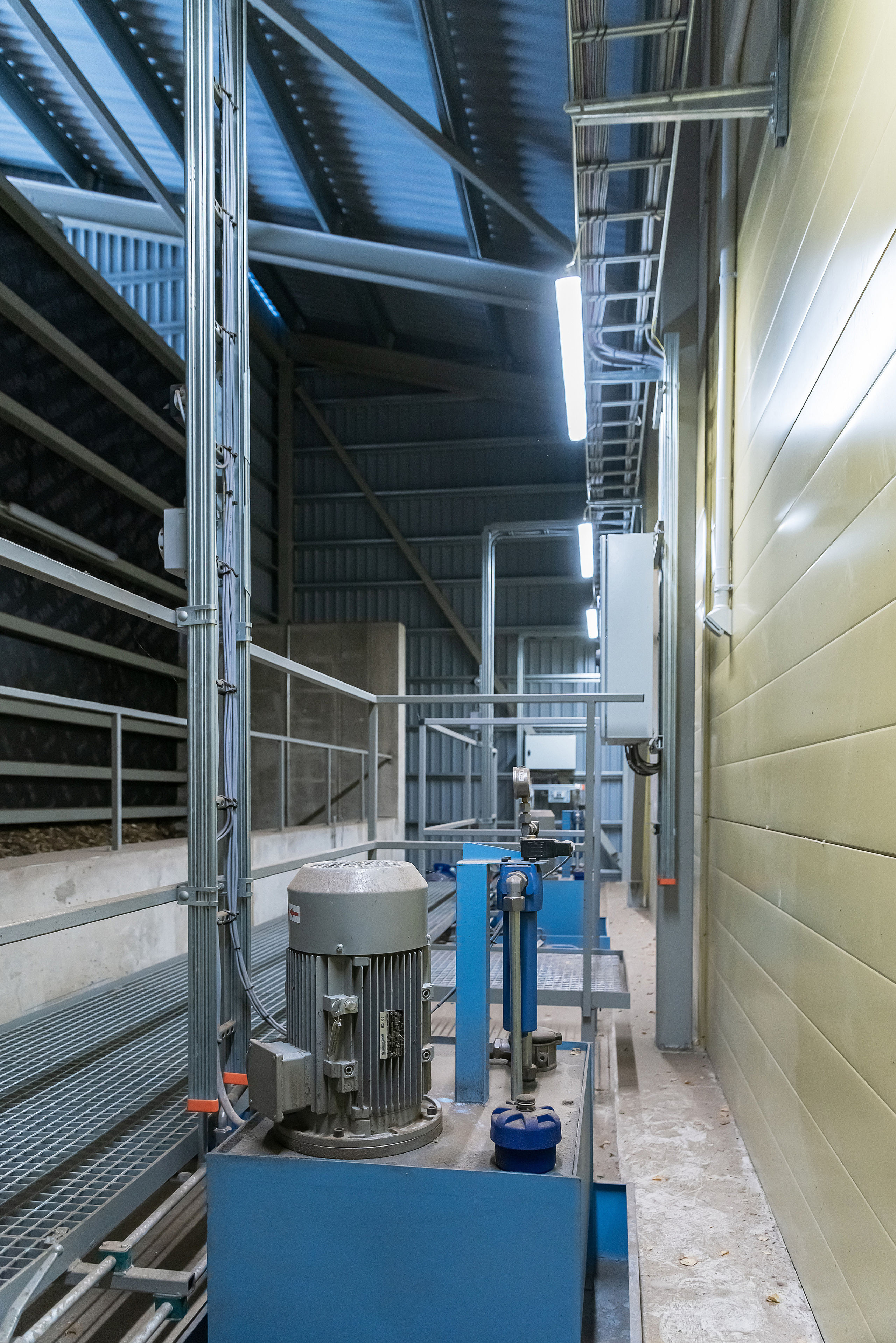 Salaspils Siltums. Fotogrāfs Rīgā. Gīmenes, individuālās un dažādu produktu fotosesijas