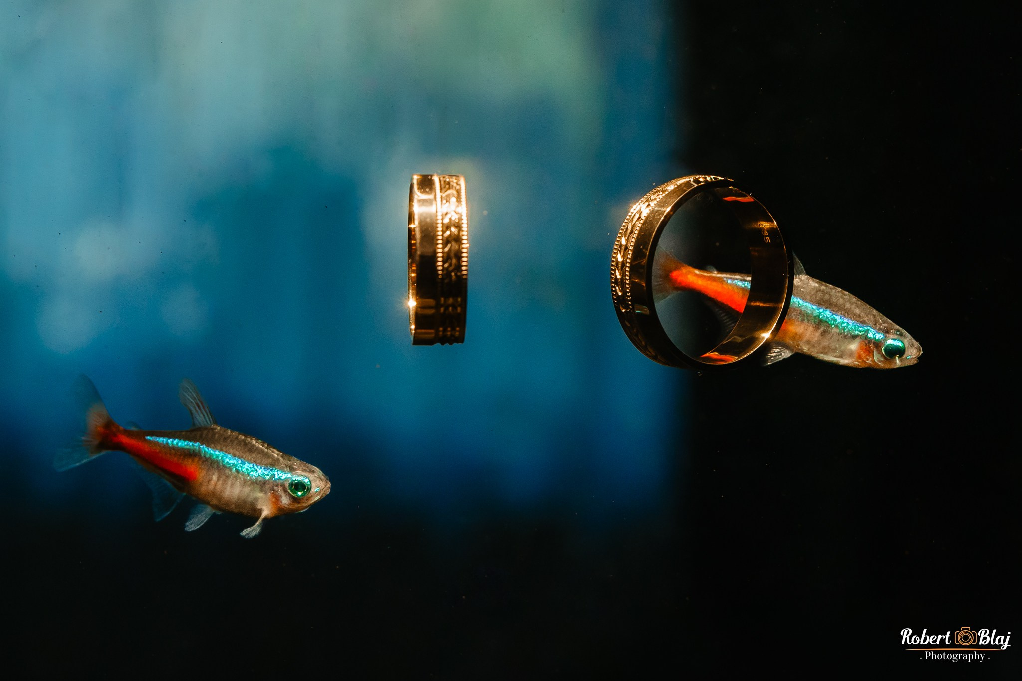 Gabriela & Andrei. Robert Blaj - Fotograf Nuntă Iași