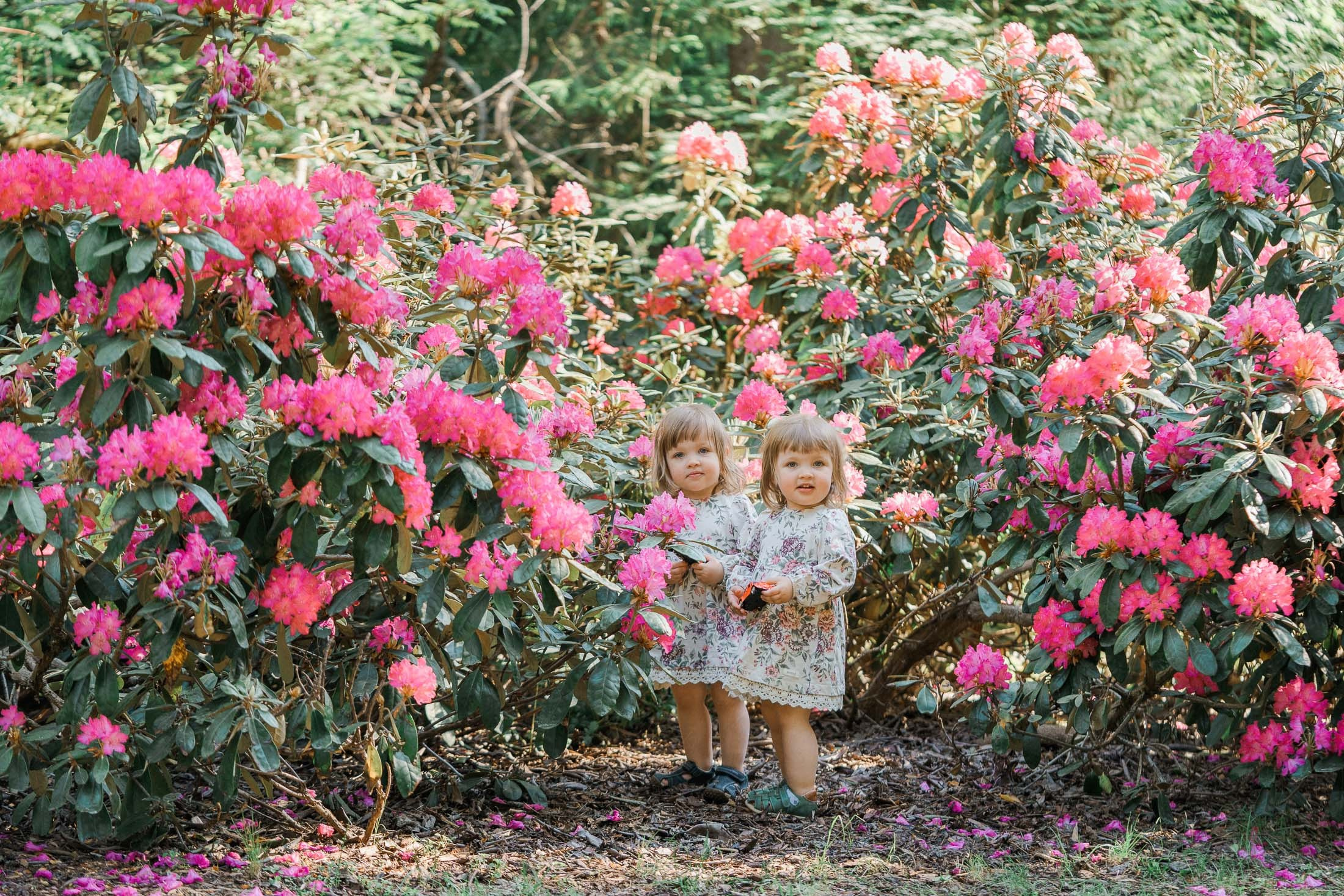 Helsingin parhaat kuvauspaikat