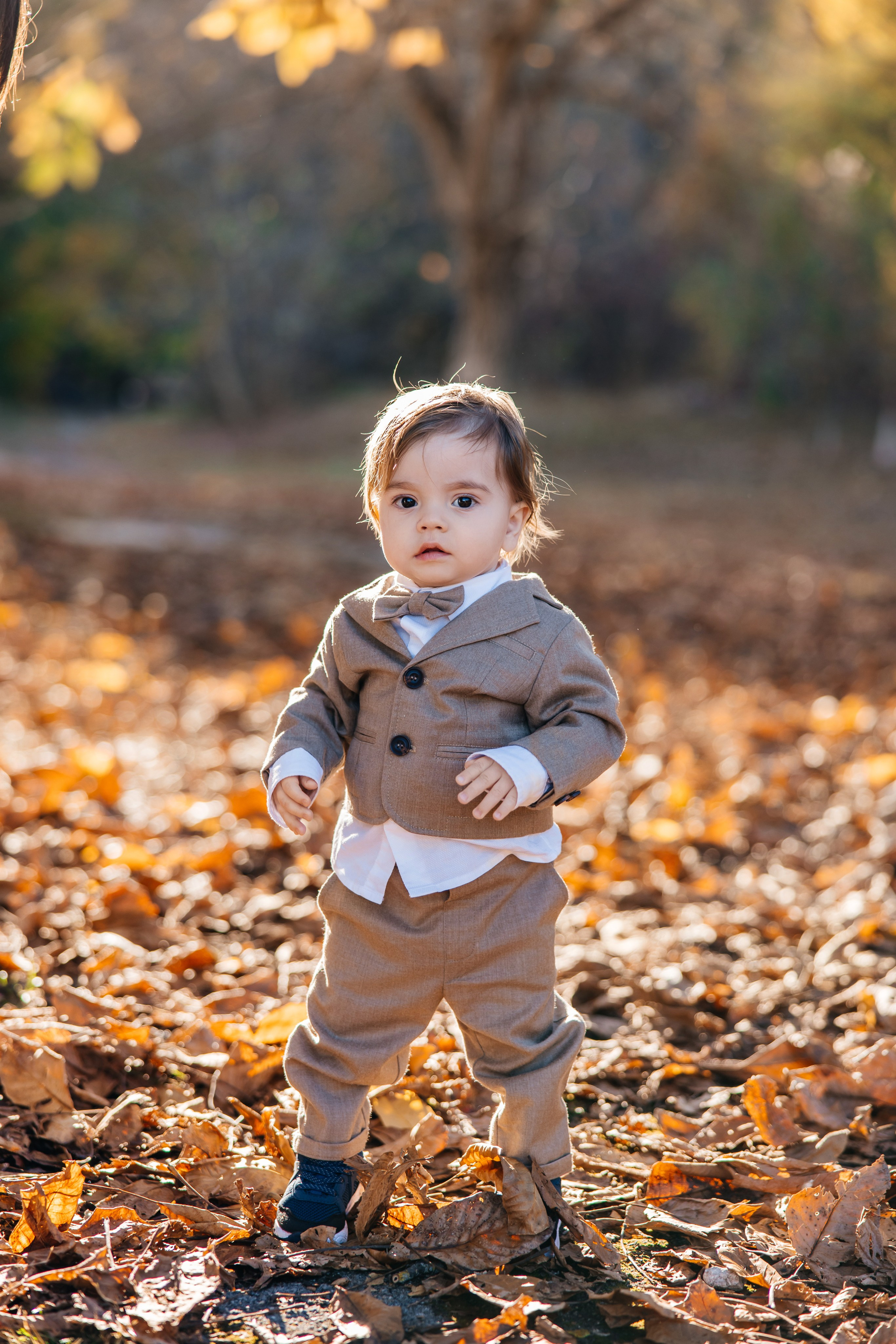 Mark. Furduidumitru.com