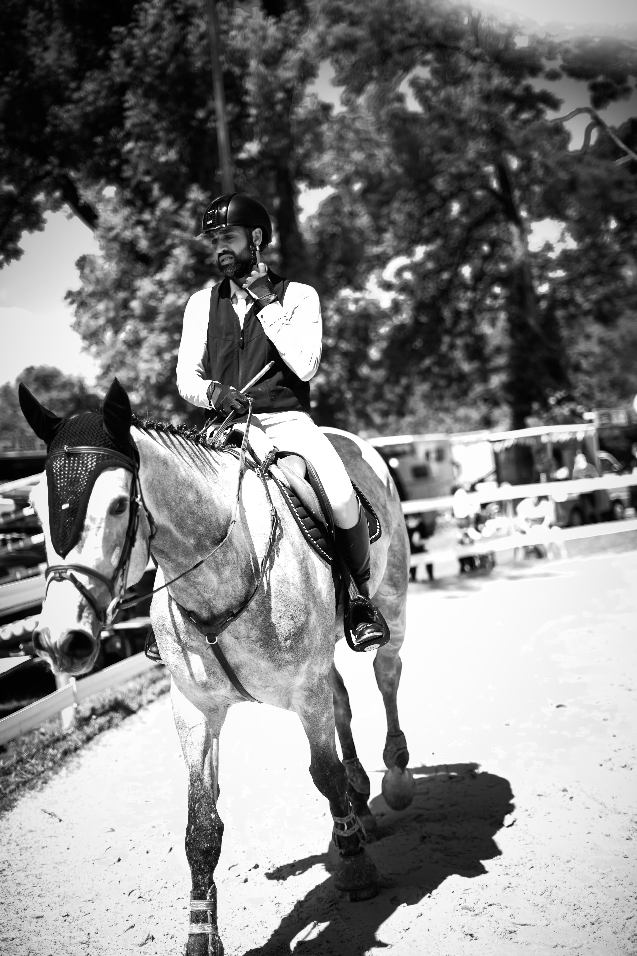 Equestrian Competition