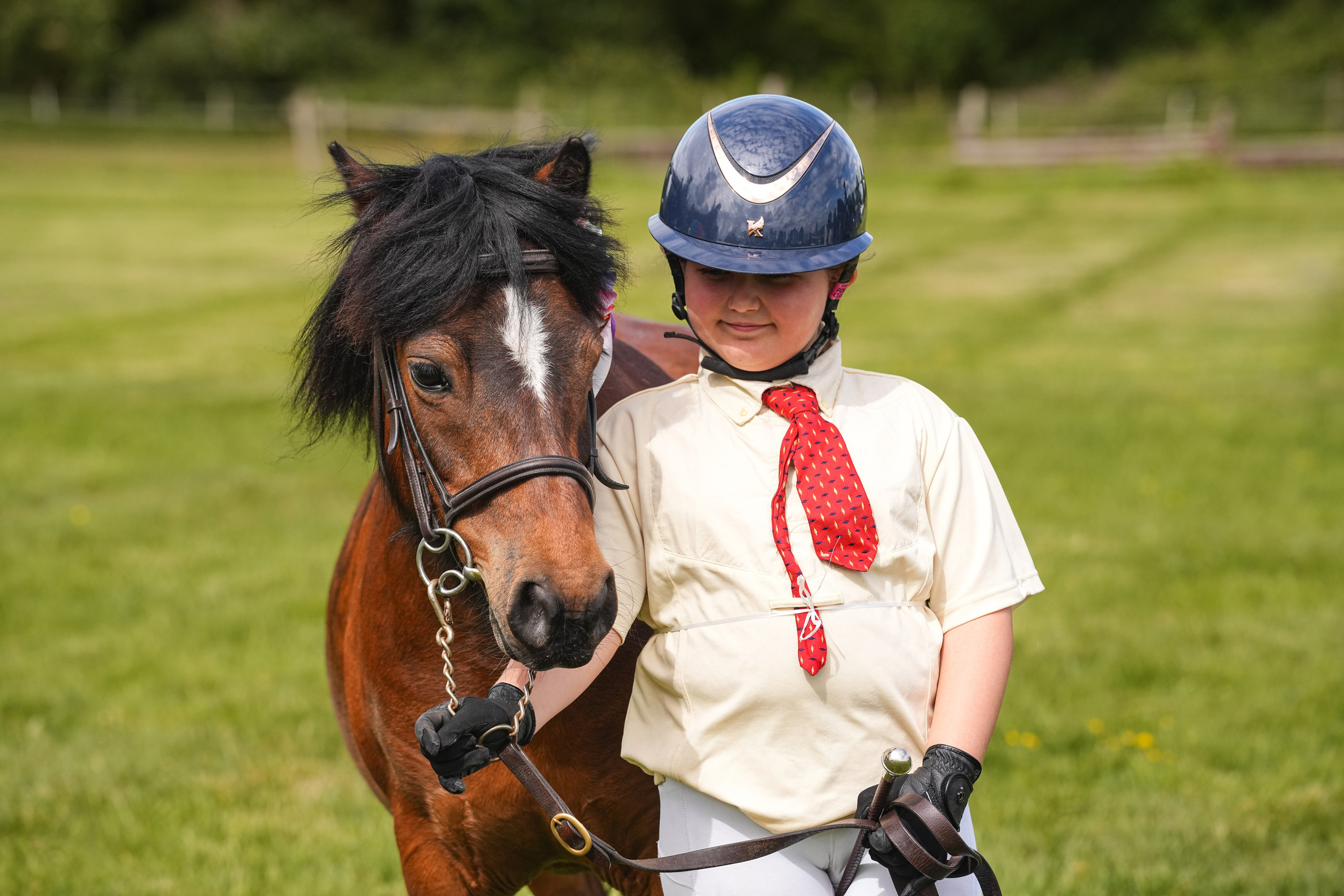 Showing. Leicestershire Equine Photography by El | Authentic Equine Portraits & Events