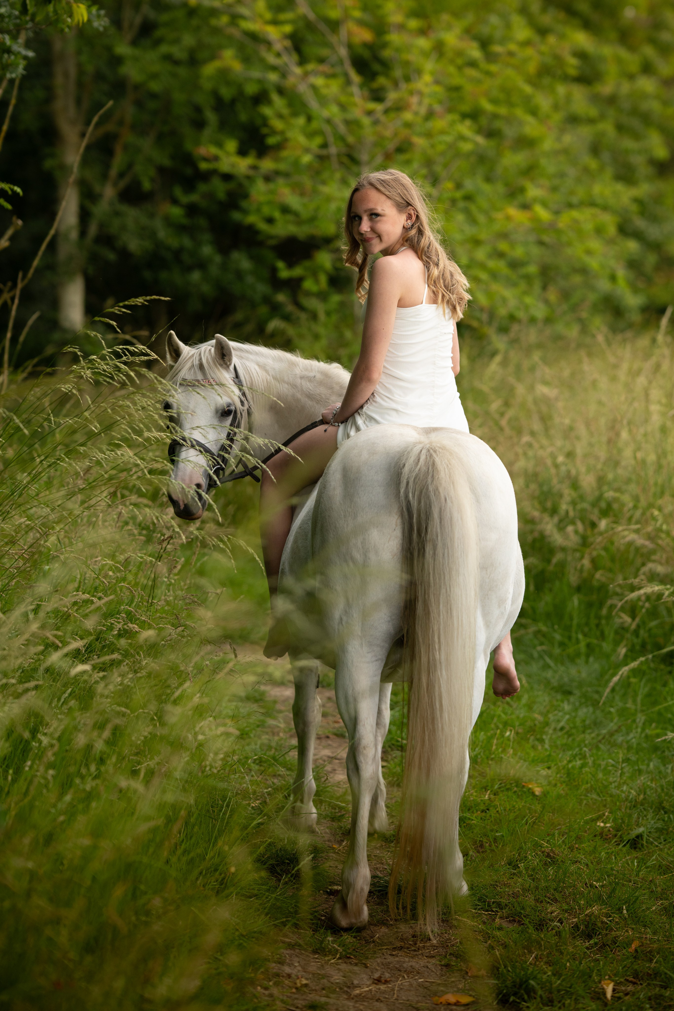 Equine Photography Portfolio | Leicestershire Horse Portrait Photographer. Leicestershire Equine Photography by El | Authentic Equine Portraits & Events