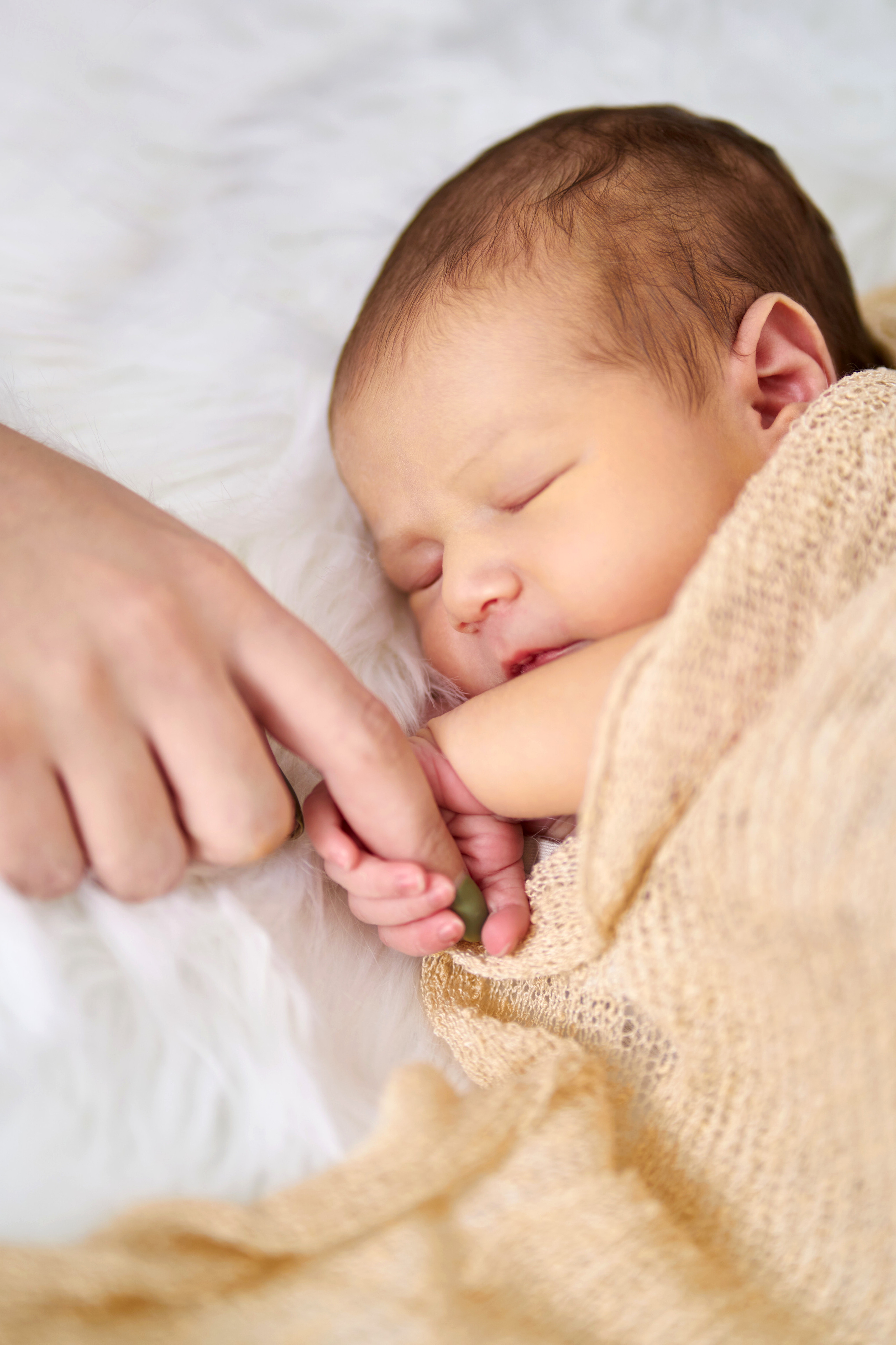 Miroslava — newborn. צלם אלכס ברט בישראל