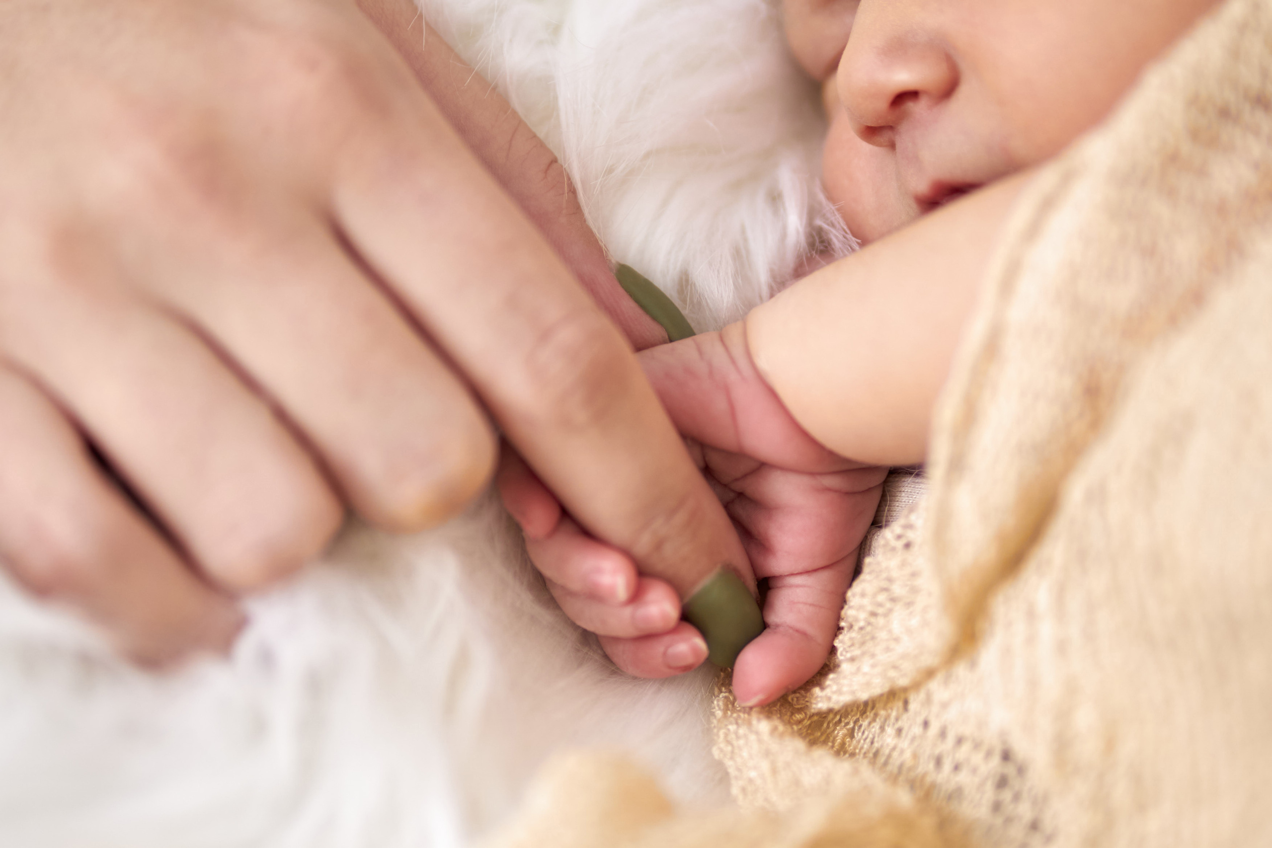 Miroslava — newborn. צלם אלכס ברט בישראל