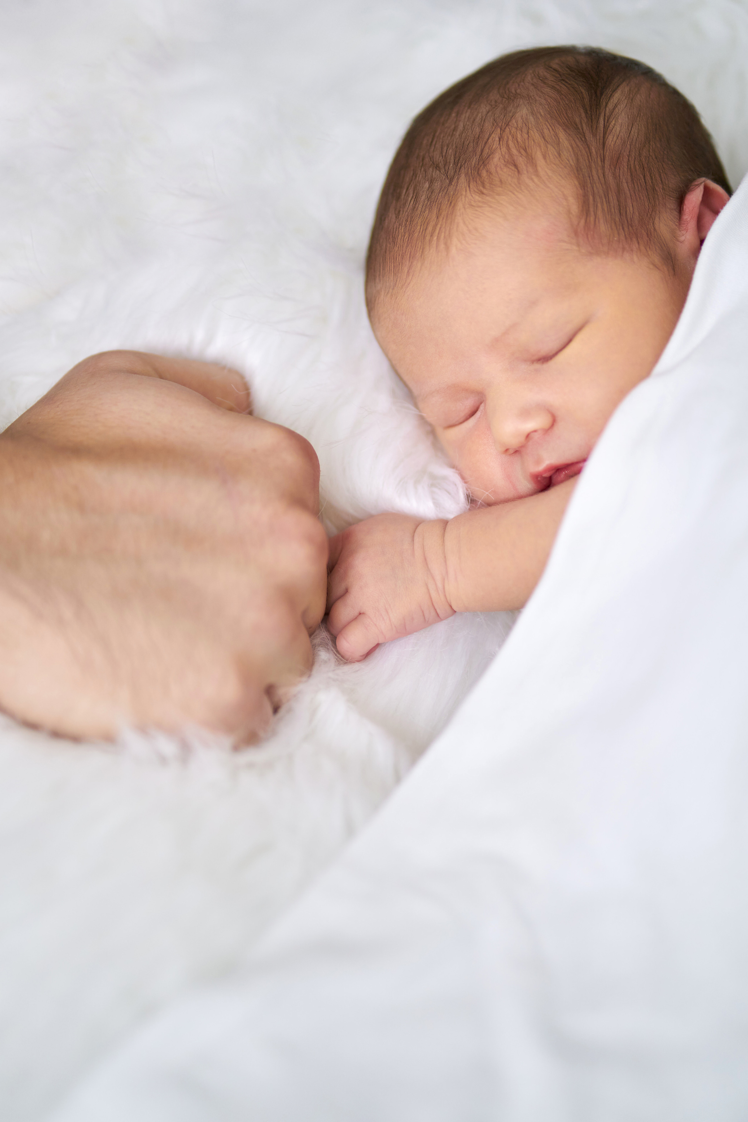 Miroslava — newborn. צלם אלכס ברט בישראל