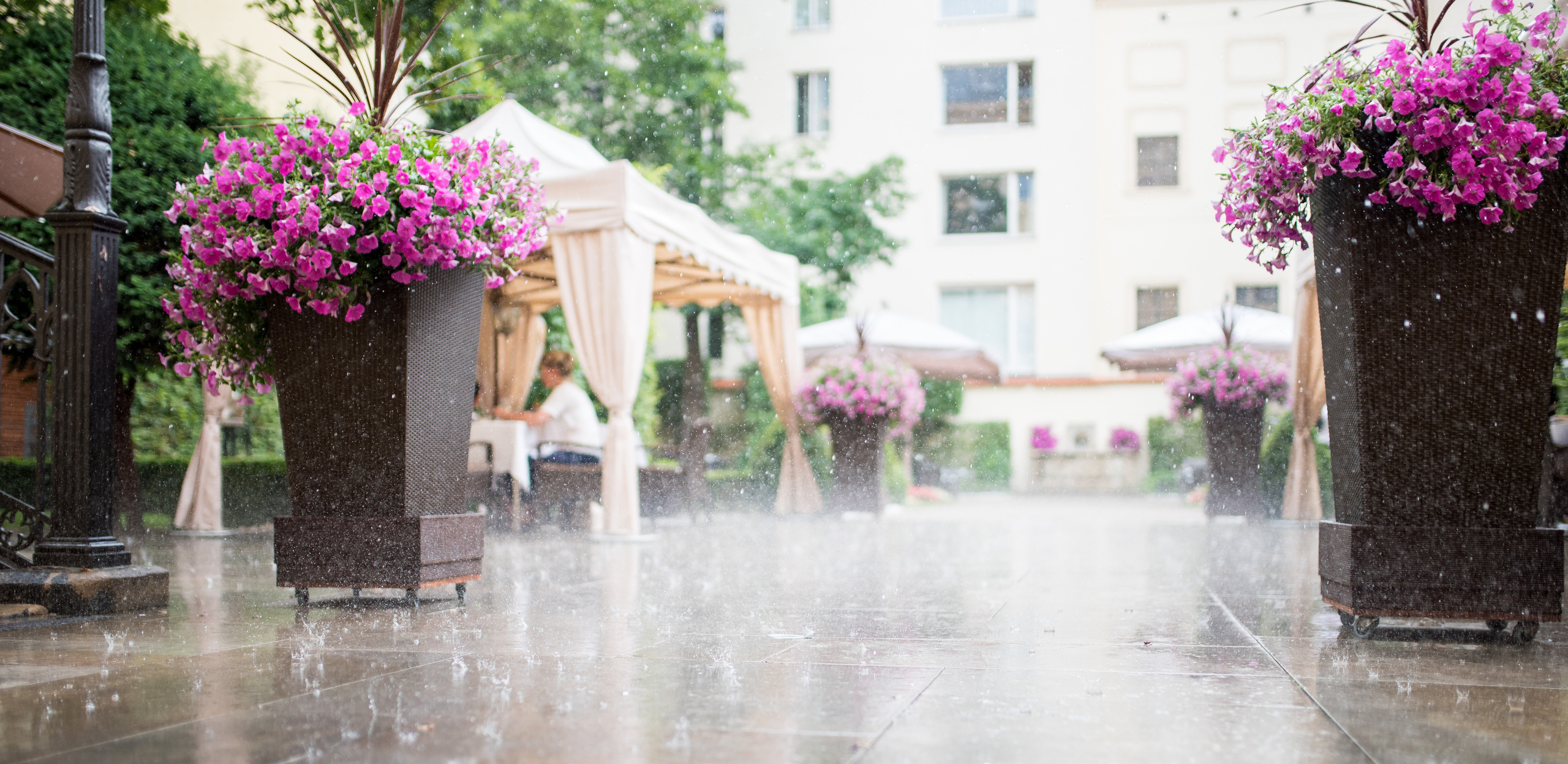 Svatby. Fotogaf v Praze Dmitriy Lisniak