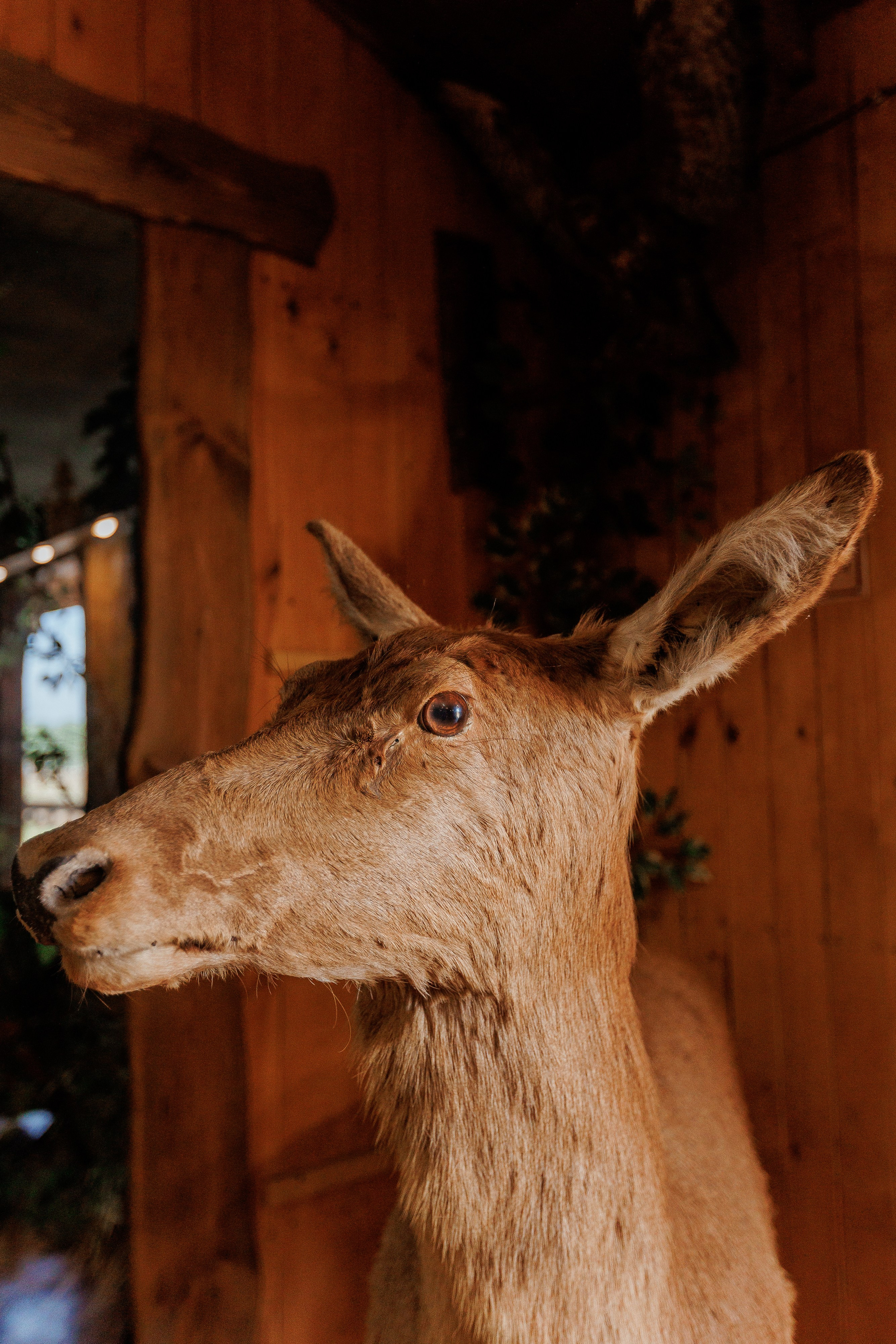 Екопарк Аміла. Ірина Терещук