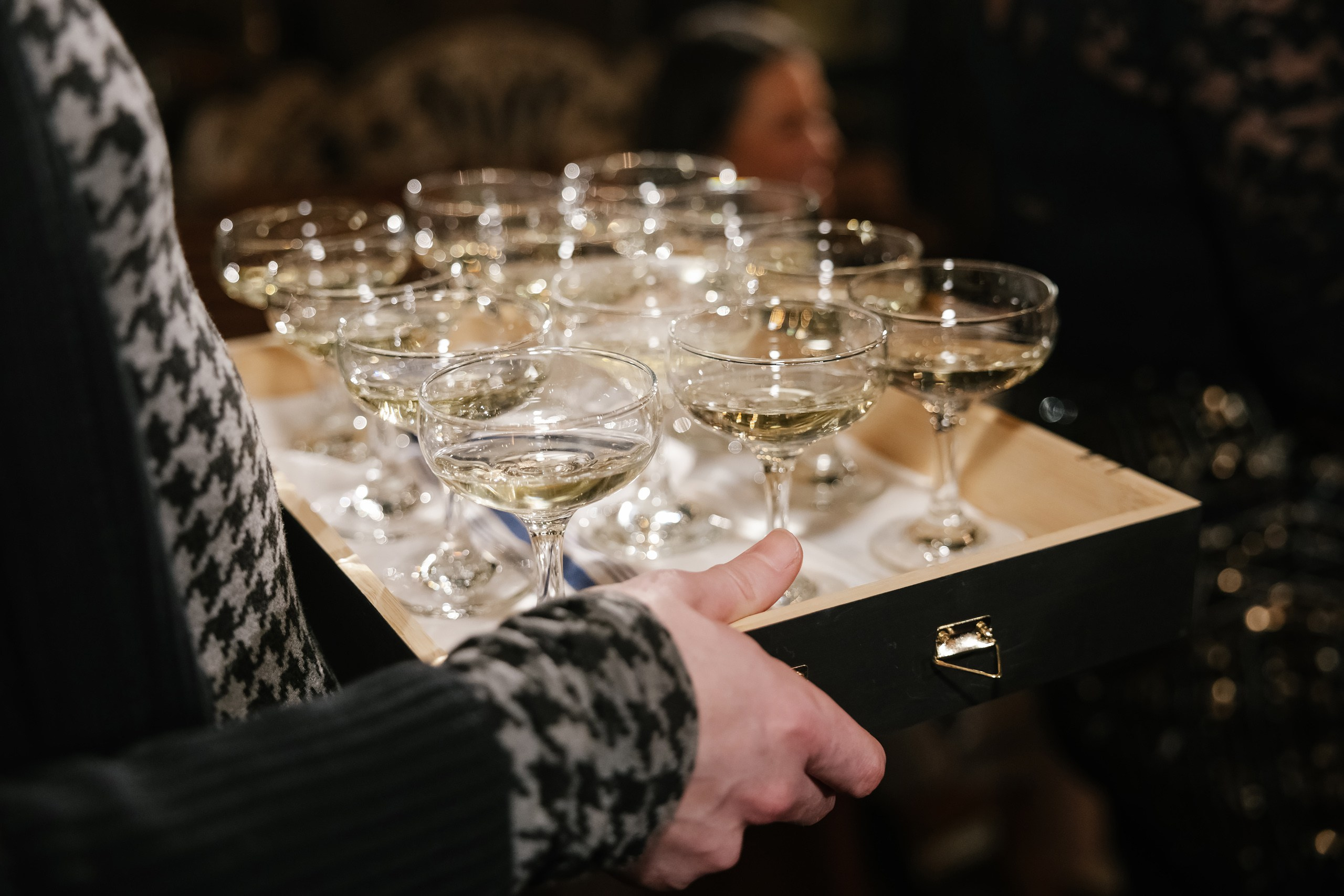 Elena’s Birthday Party. Wedding family event photographer in Chicago Nick Yushevich