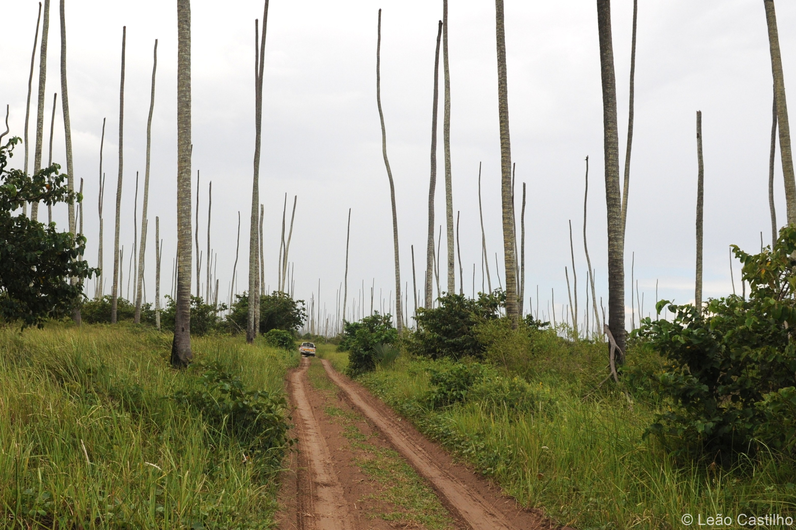 Photos from Mozambique. Simbahalu
