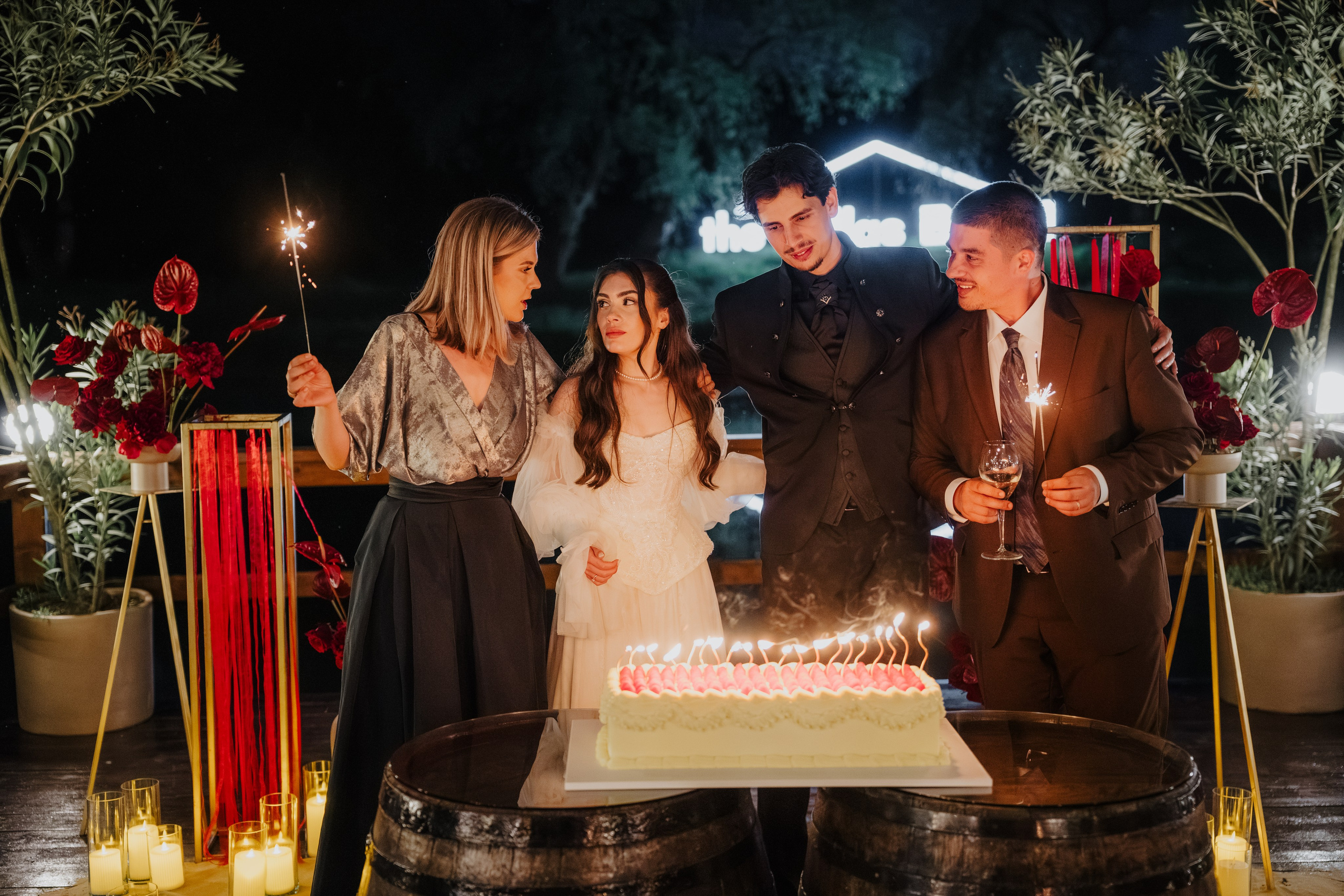 Diana și Paul. Visuals of Theodor — Wedding Photographer
