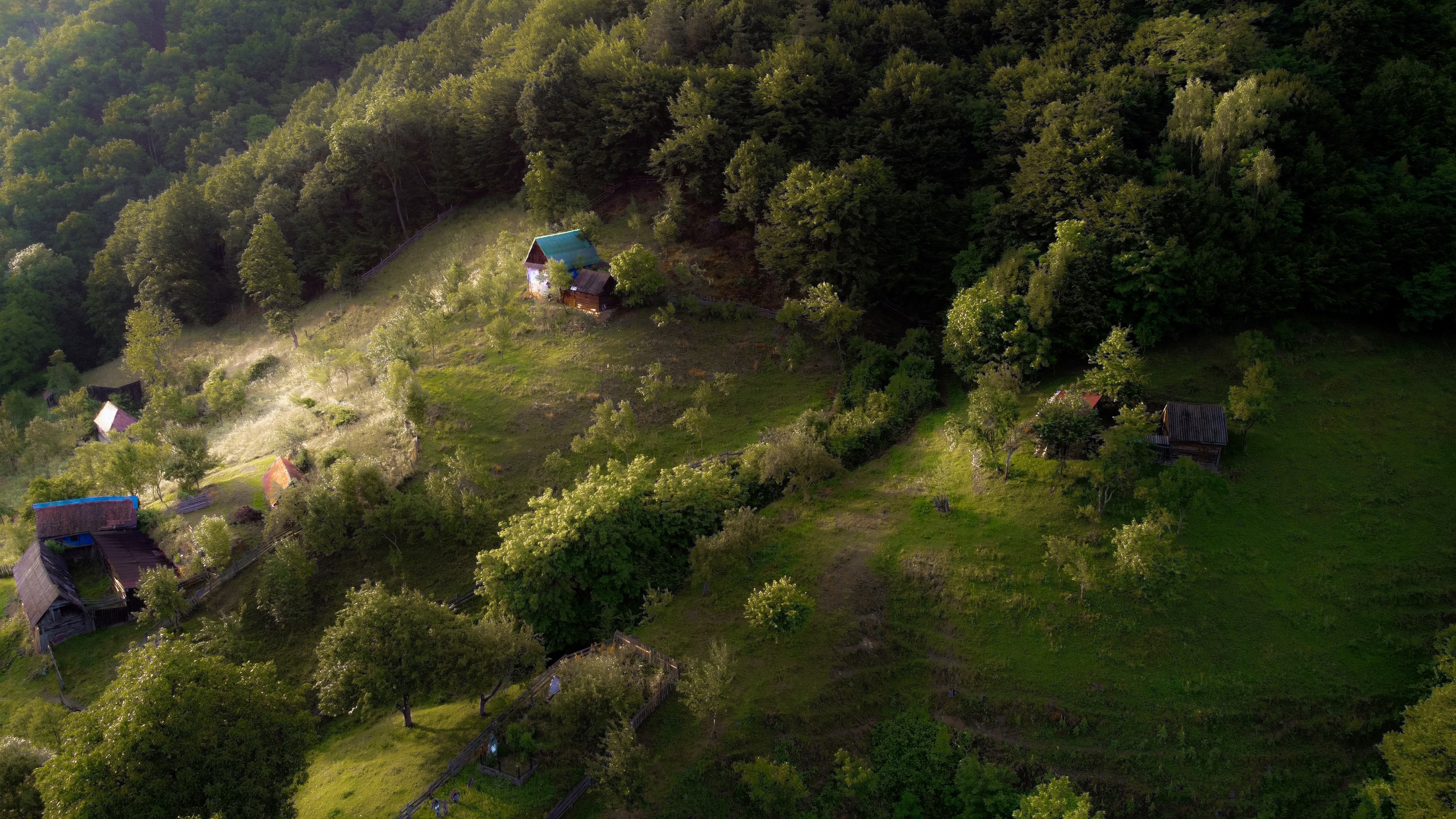 Landscape. Dariussora.ro