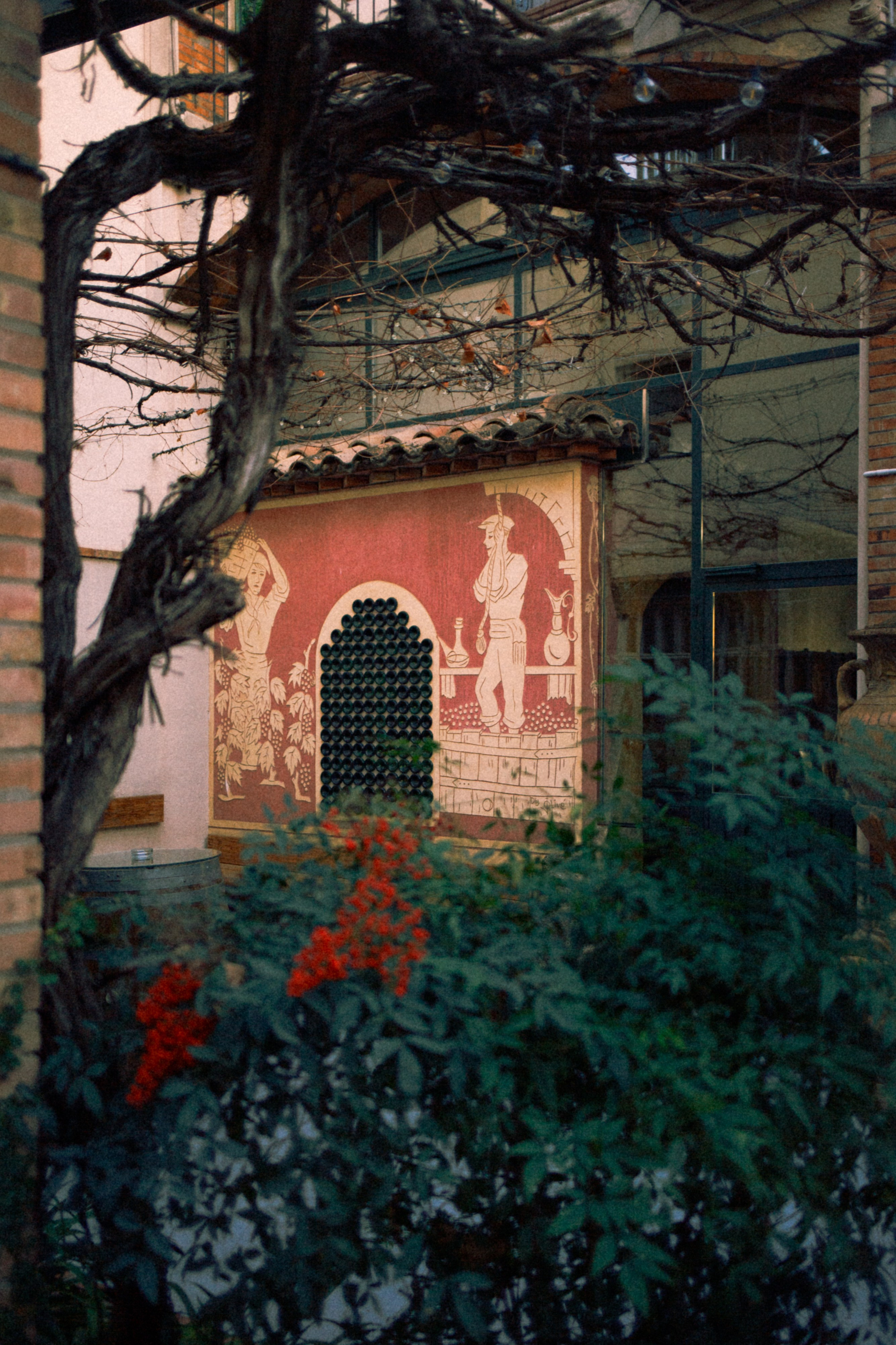 My birthday trip to the winery. Marina Kálcheva — Photographer, Videographer & Visual Artist in Barcelona