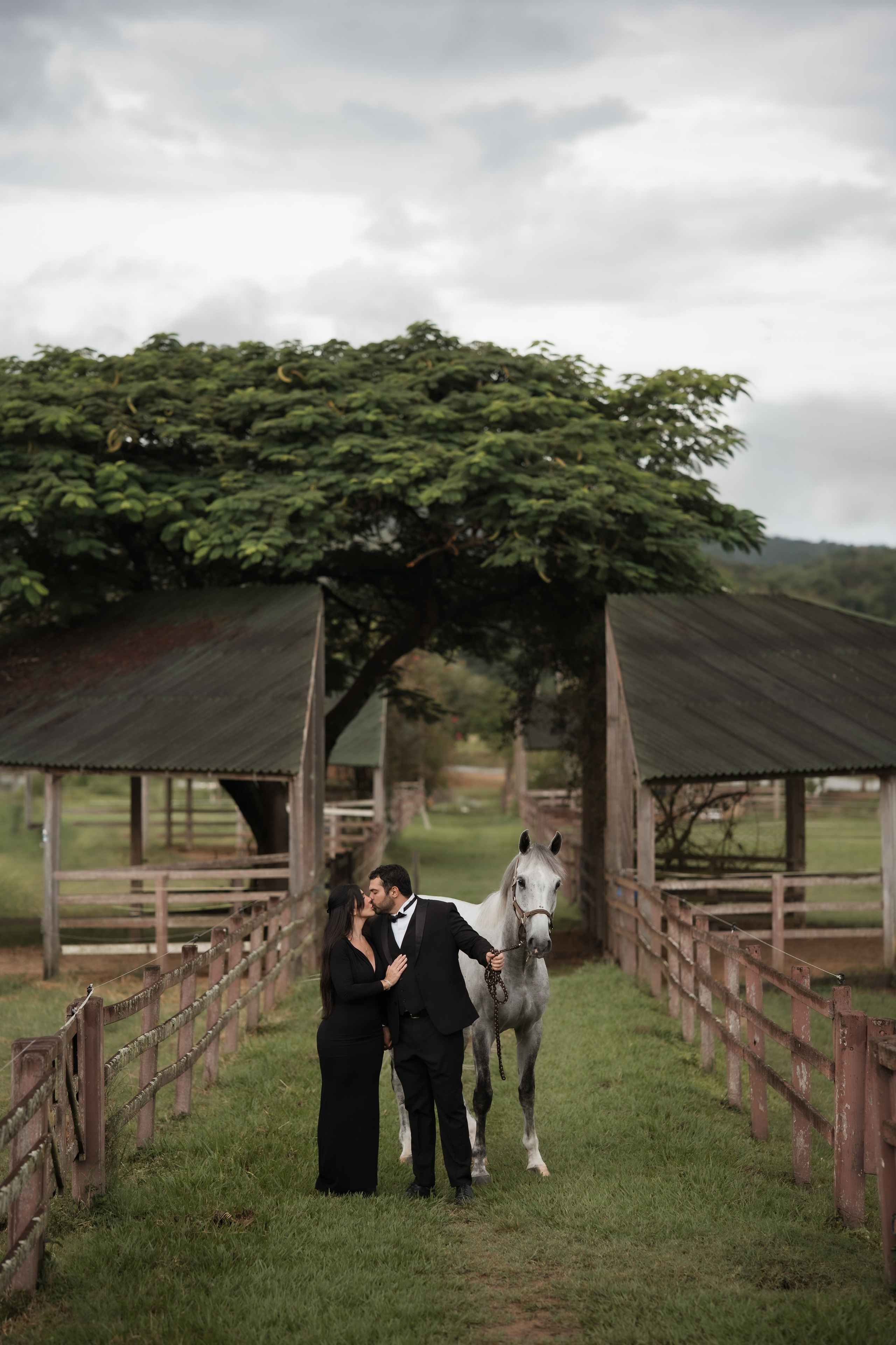 Um ensaio pré-wedding com cavalo, paisagem rural e uma estética elegante em preto e branco. Sara e Rafael viveram uma sessão autêntica e cinematográfica em Minas Gerais, com referências editoriais e fotografia de casal ao ar livre.