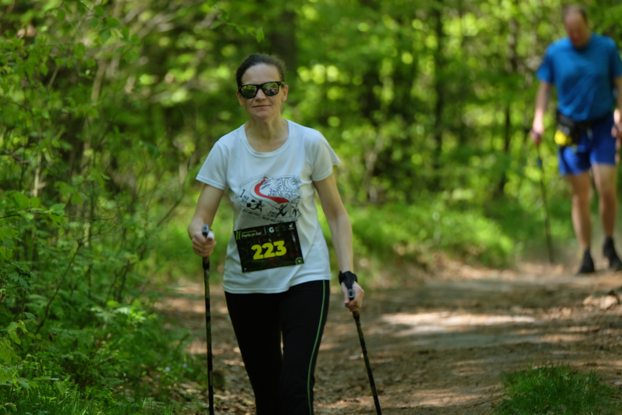 Aleksandryjska Piątka po lesie. Main