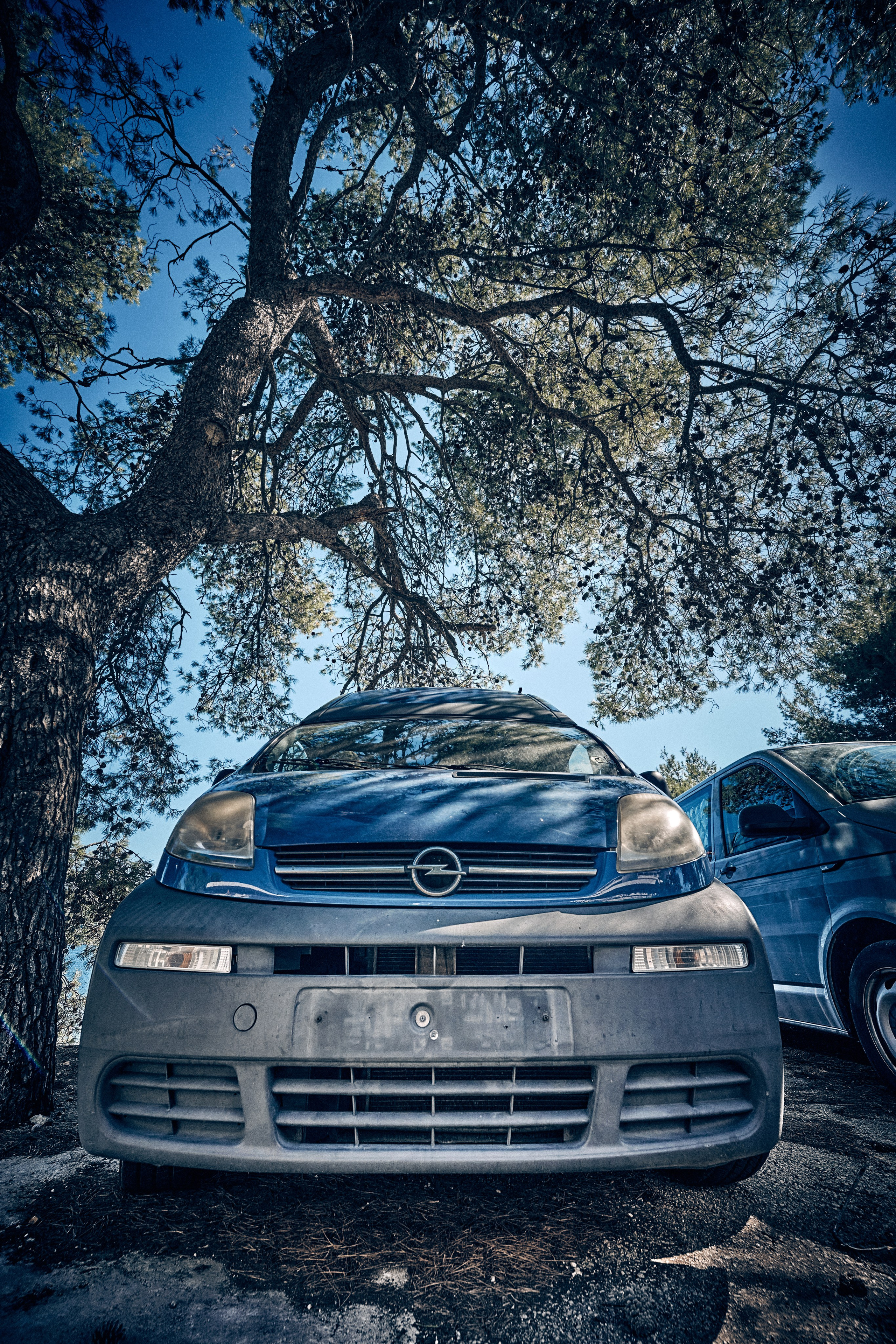 Lubię tego Gościa. I to nawet bardzo. Happy birthday Max!... Andriej Szypilow - Fotografia & Wideografia