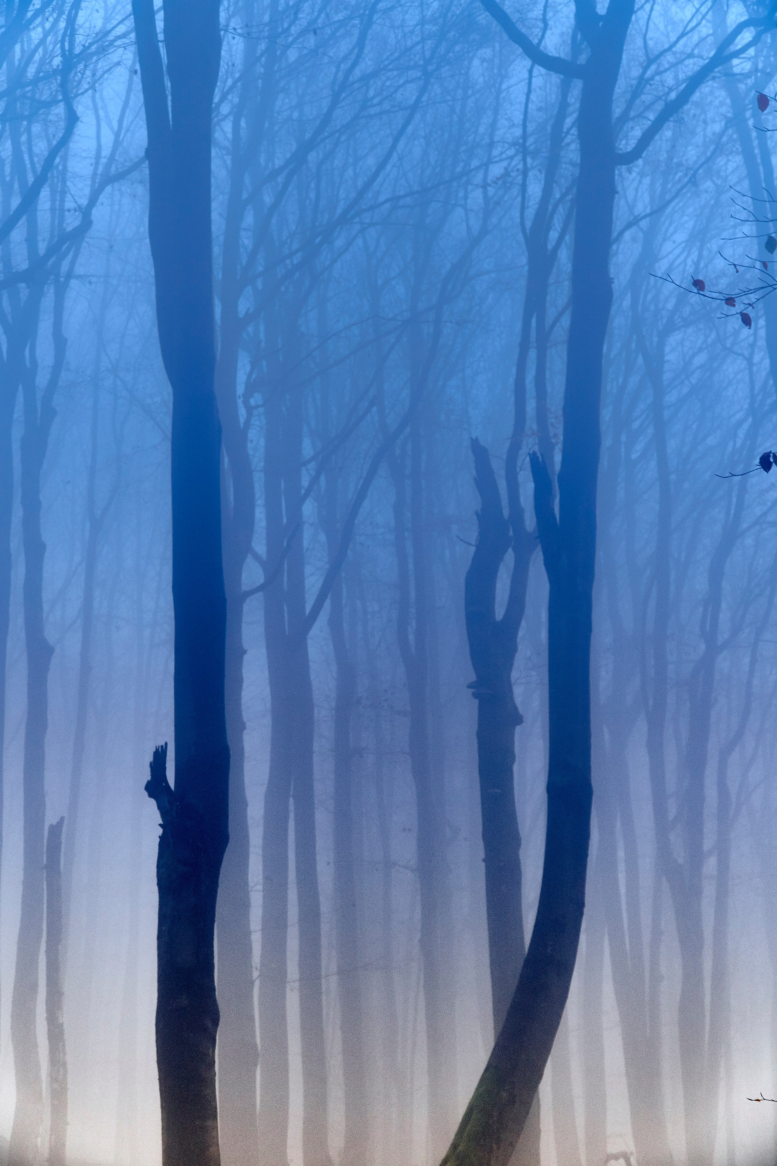 Бещады — здесь остановилось время. Андрей Шипилов — Фотография & Видеография