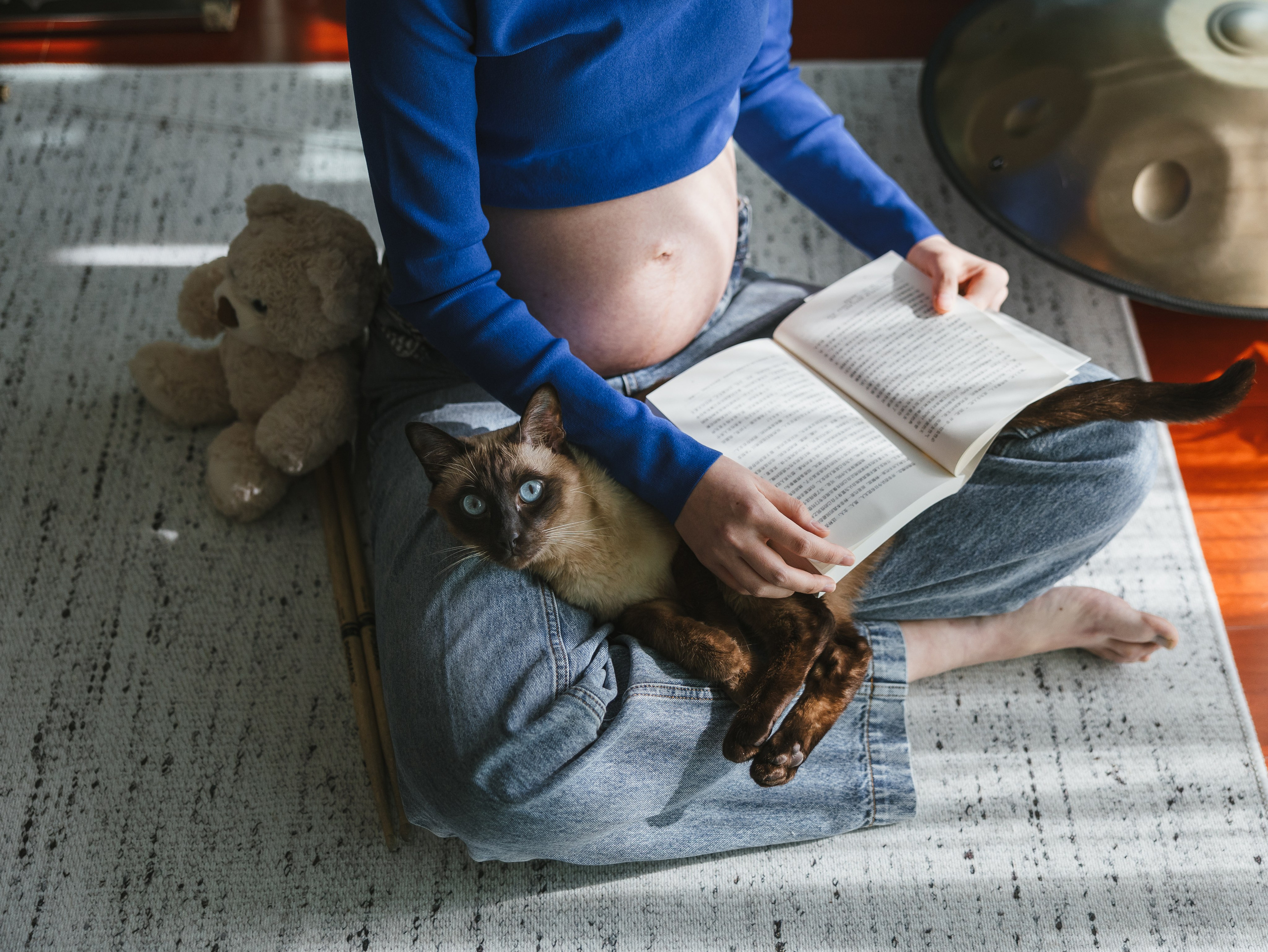 Photos of pets. Shanghai Family Photographer Dora