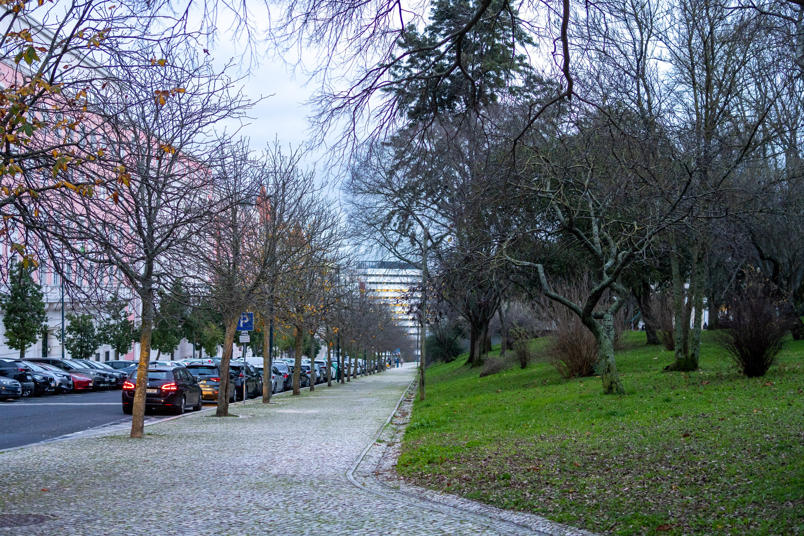 Lisabona 2025. Fotografiideplacere.net