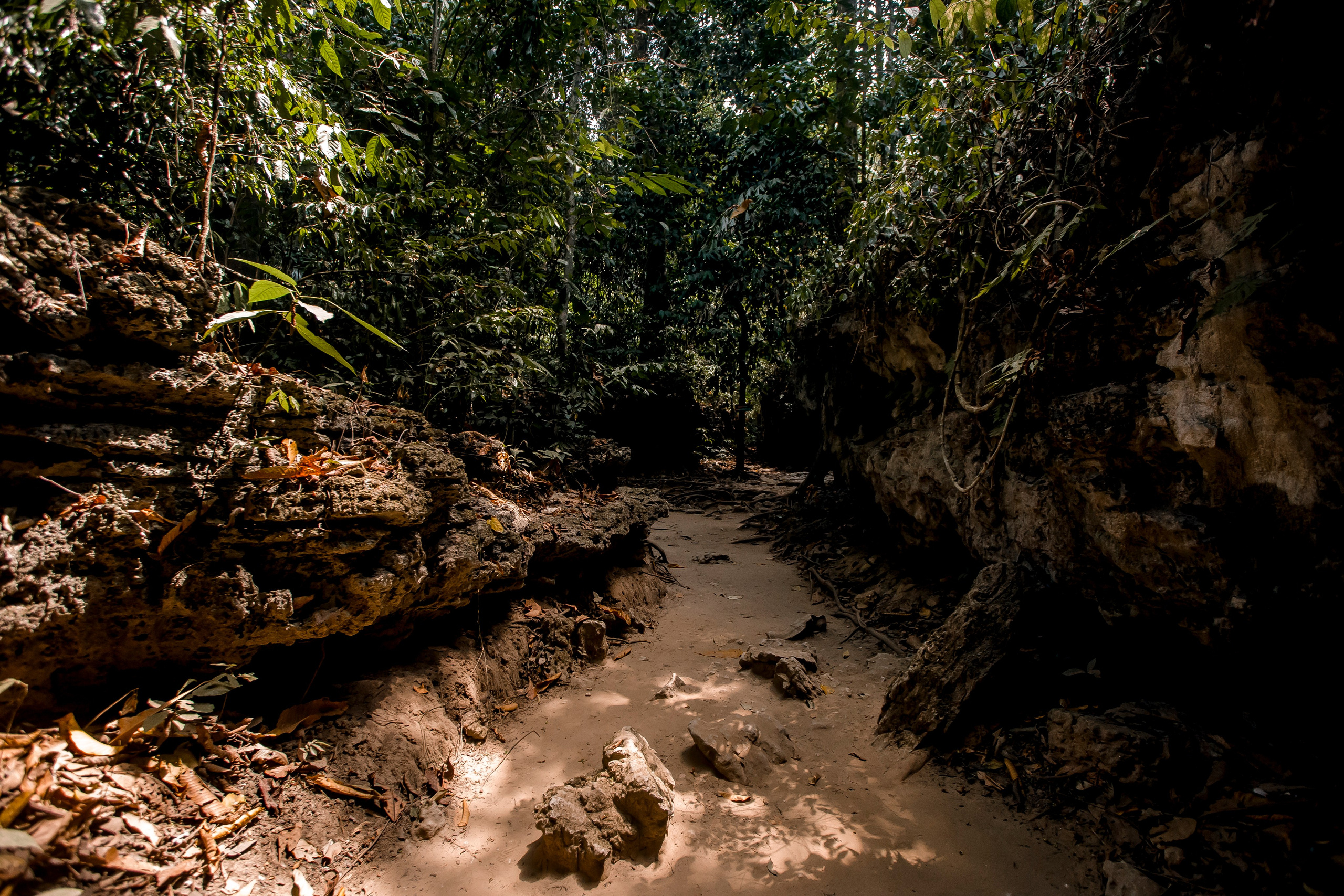 Andaman Islands, Part2. Art Photographer