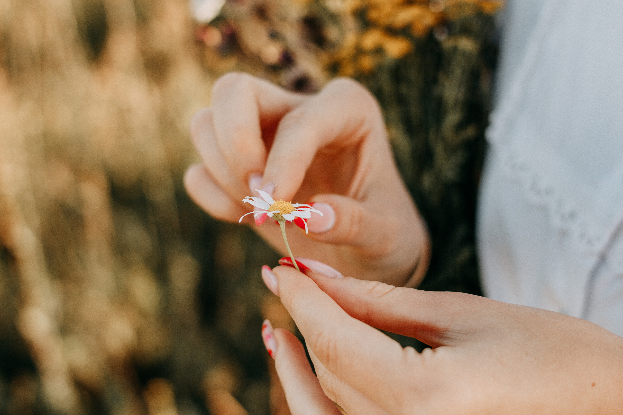 Arina and haystacks. Wedding and portrait photographer in Beograd Ekaterina Makedonskaya
