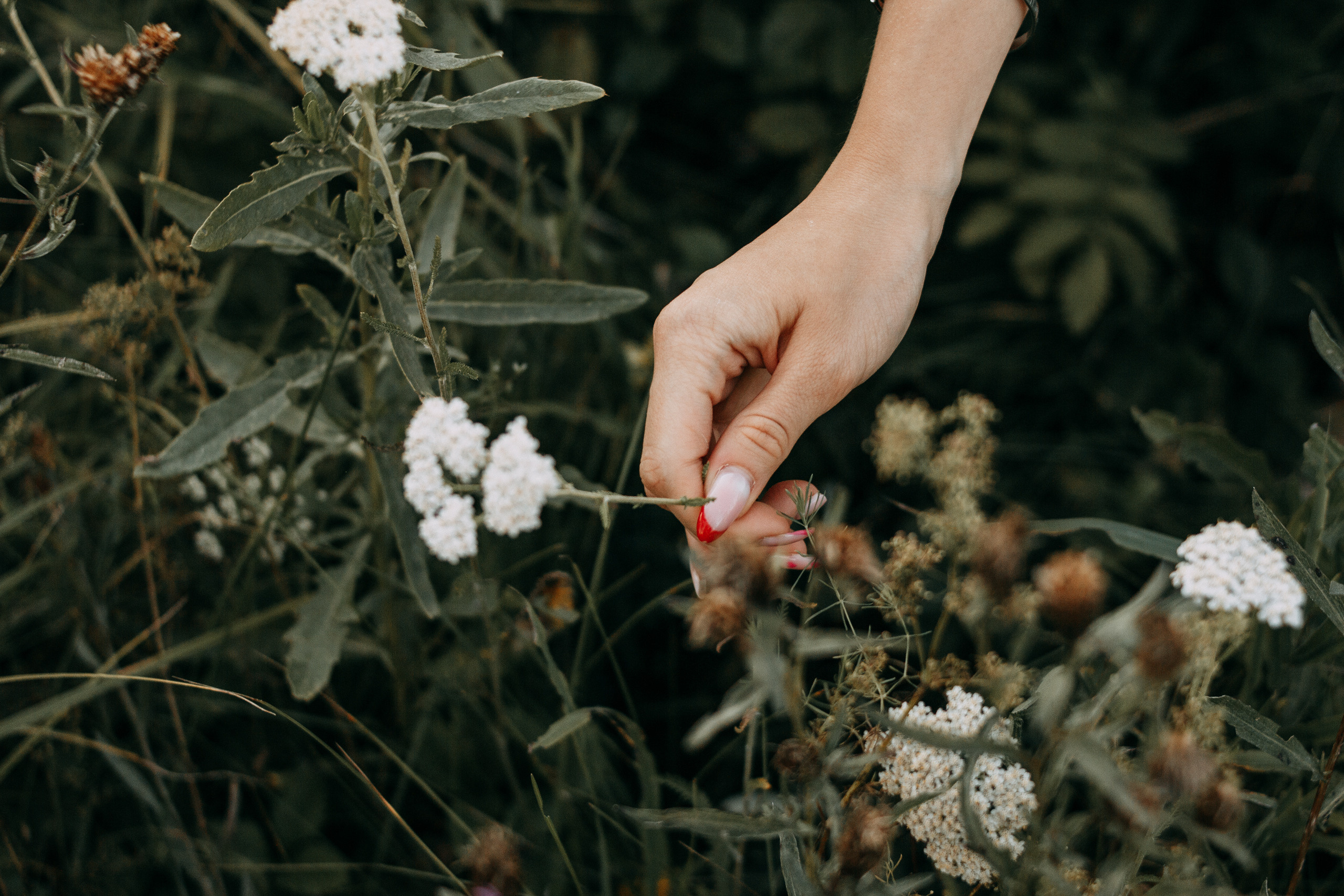 Arina and haystacks. Wedding and portrait photographer in Beograd Ekaterina Makedonskaya