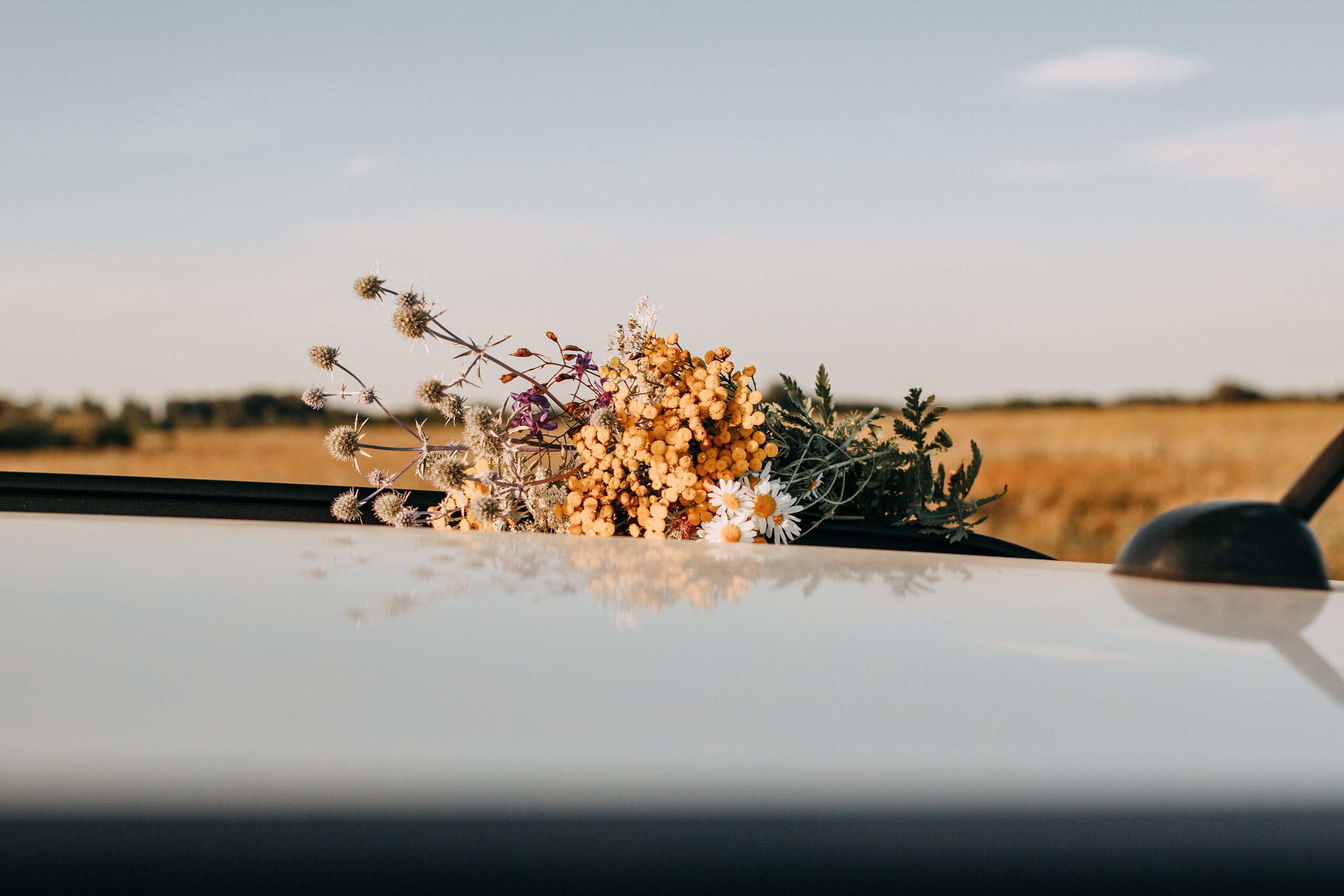 Arina and haystacks. Wedding and portrait photographer in Beograd Ekaterina Makedonskaya