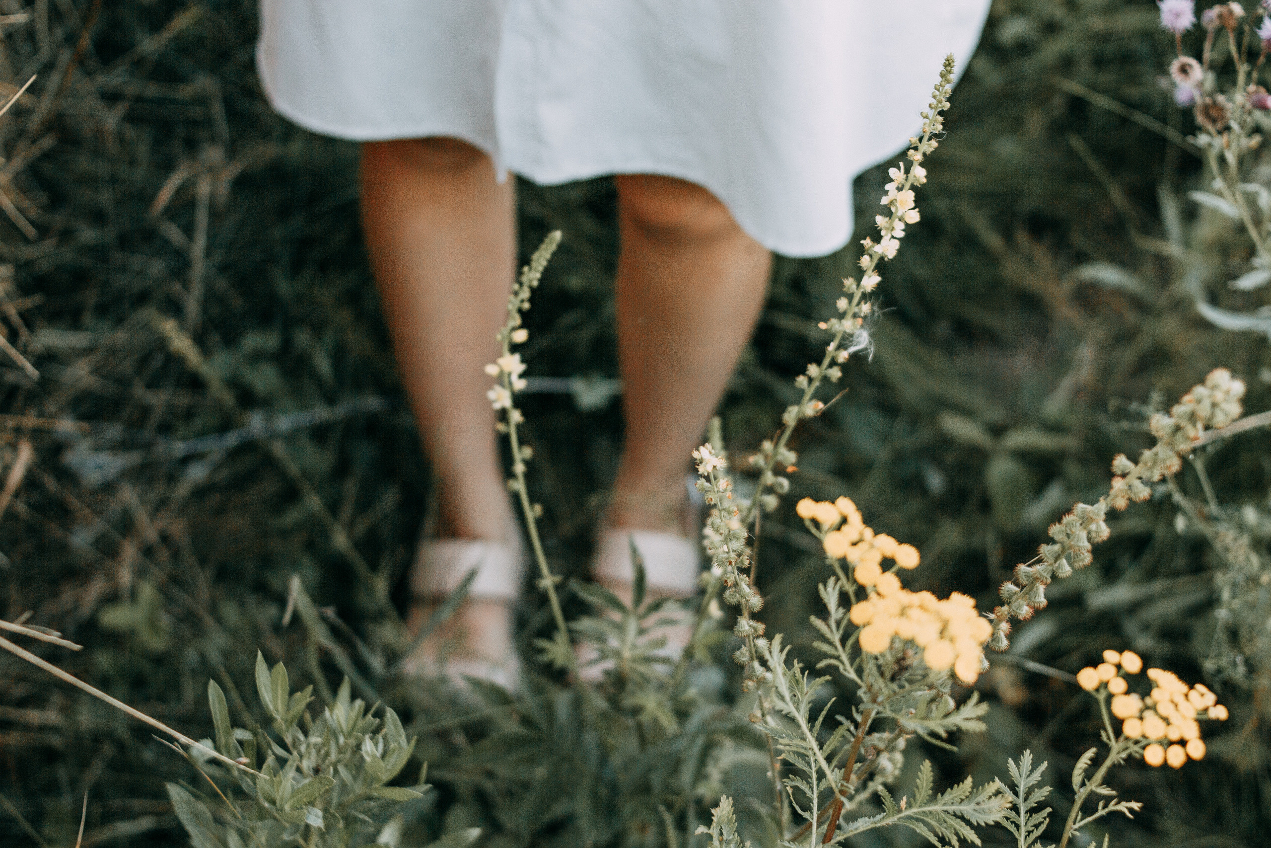 Arina and haystacks. Wedding and portrait photographer in Beograd Ekaterina Makedonskaya