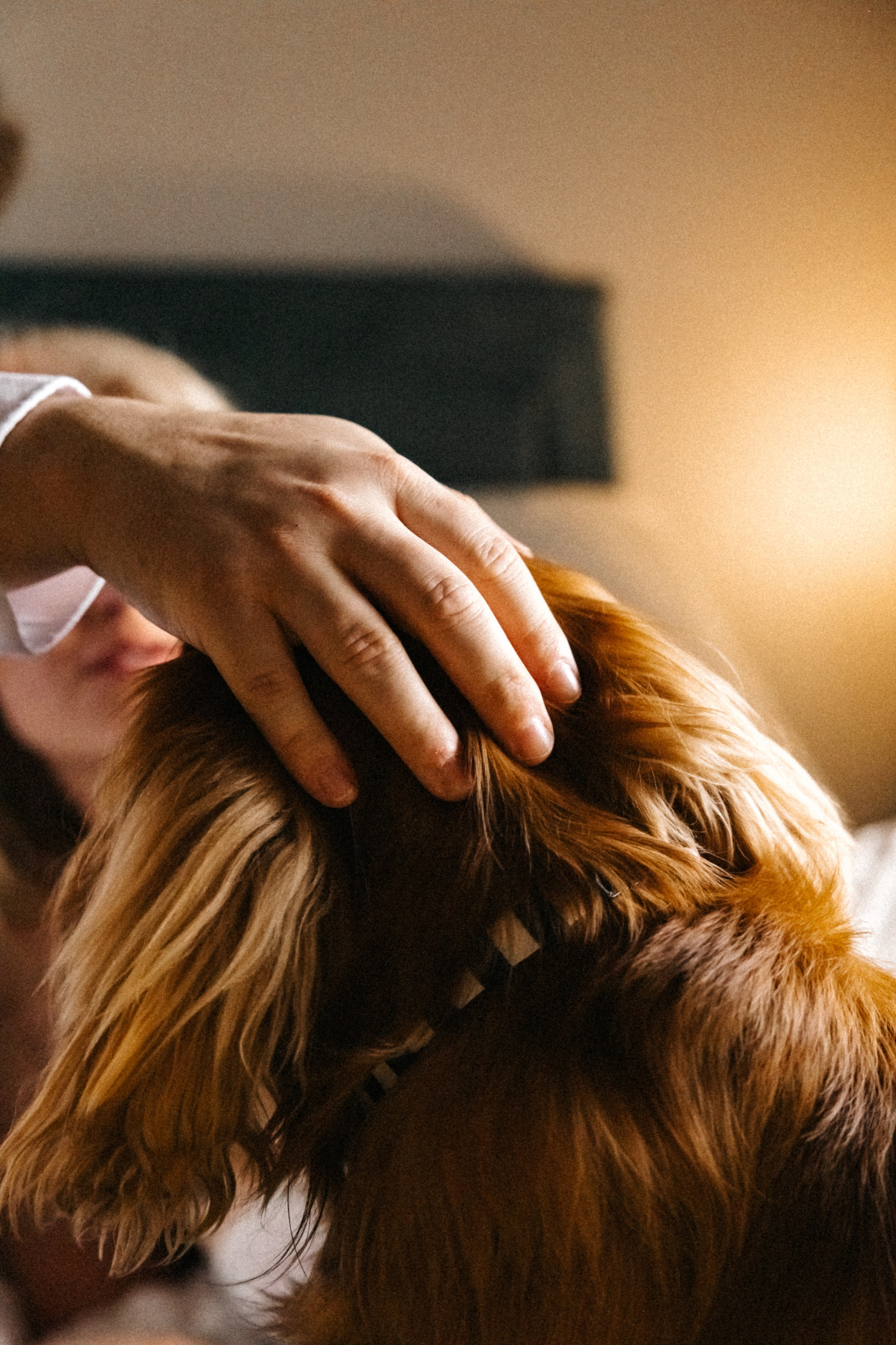 Годеж. Фотограф Ирина Йотова