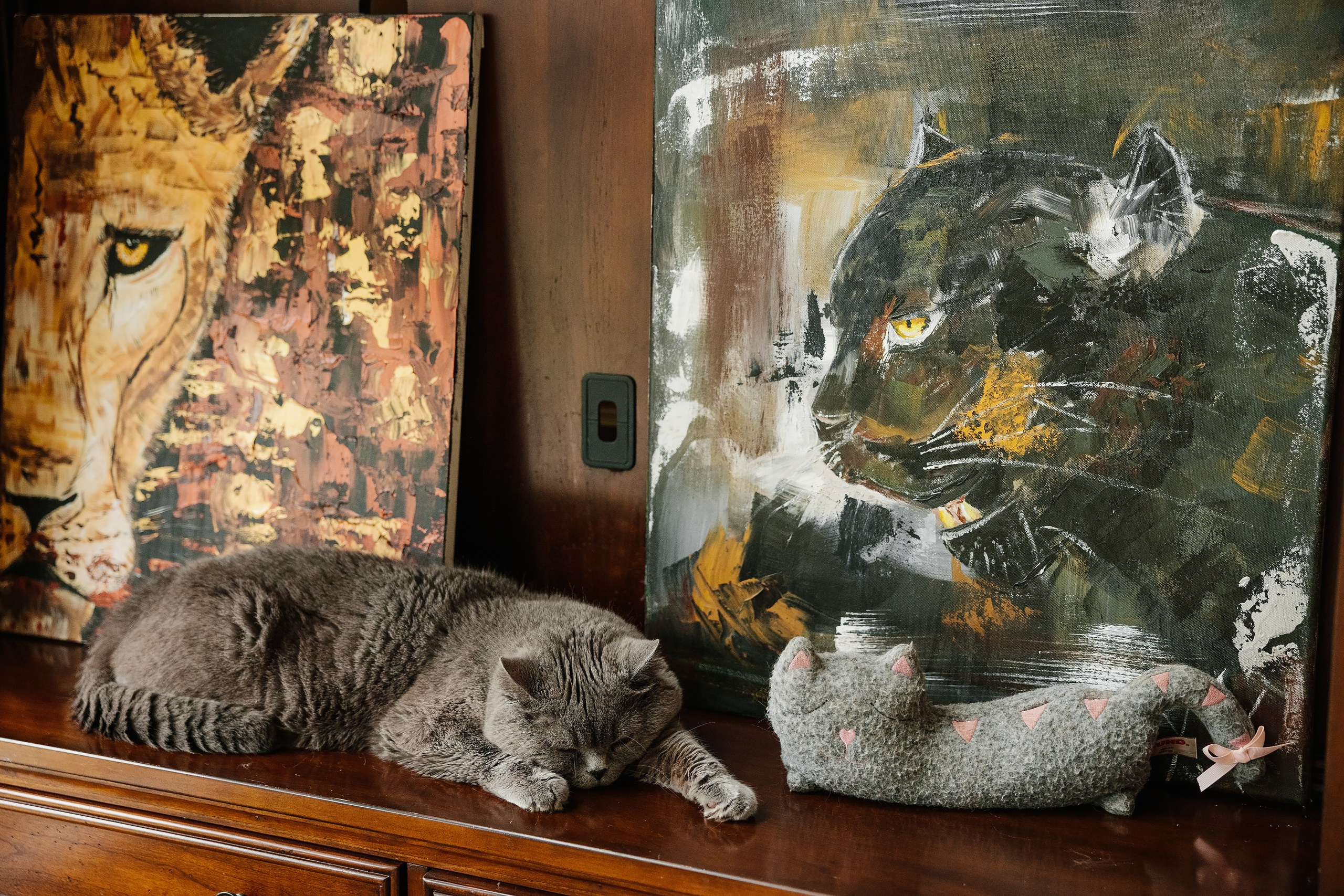 08.06.2024 Wedding. Wedding family event photographer in Chicago Nick Yushevich