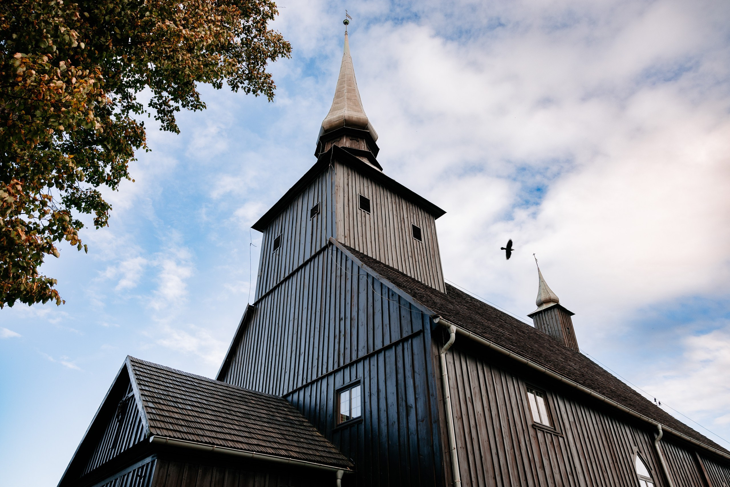 Basia ♡ Bartek. Fotograf Ślubny Warszawa - Sesje Biznesowe Rodzinne Eventy