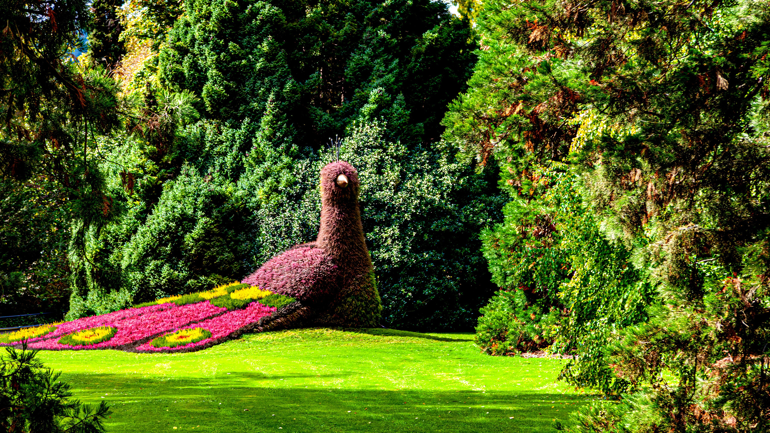 187.Mainau.Germany.24.9.2024. Путешествия в формате 360......