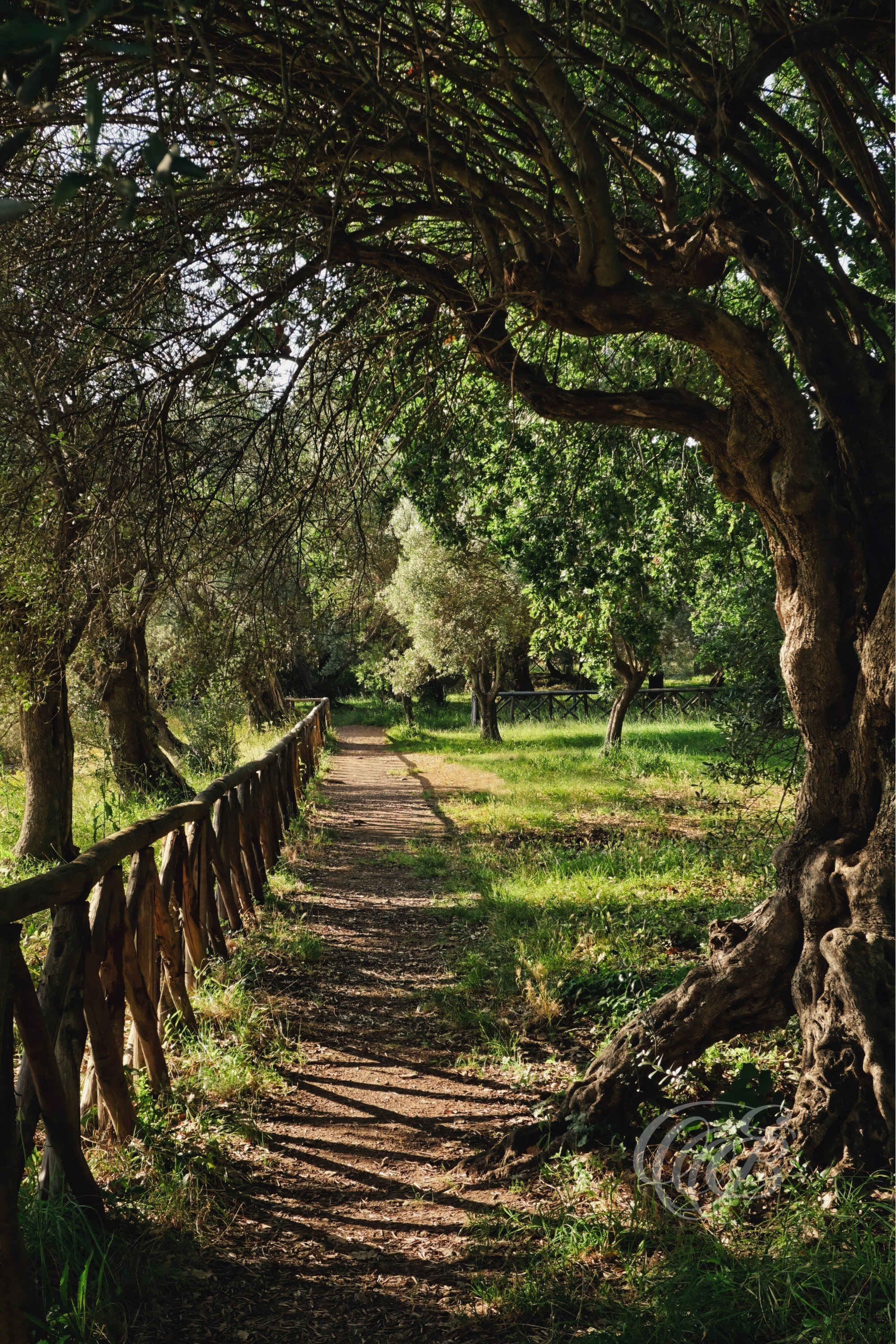 Today, the area above the Praetorium has been landscaped into a peaceful garden, offering visitors a pleasant place to pause while overlooking part of Hadrian's Villa and its surrounding ruins.