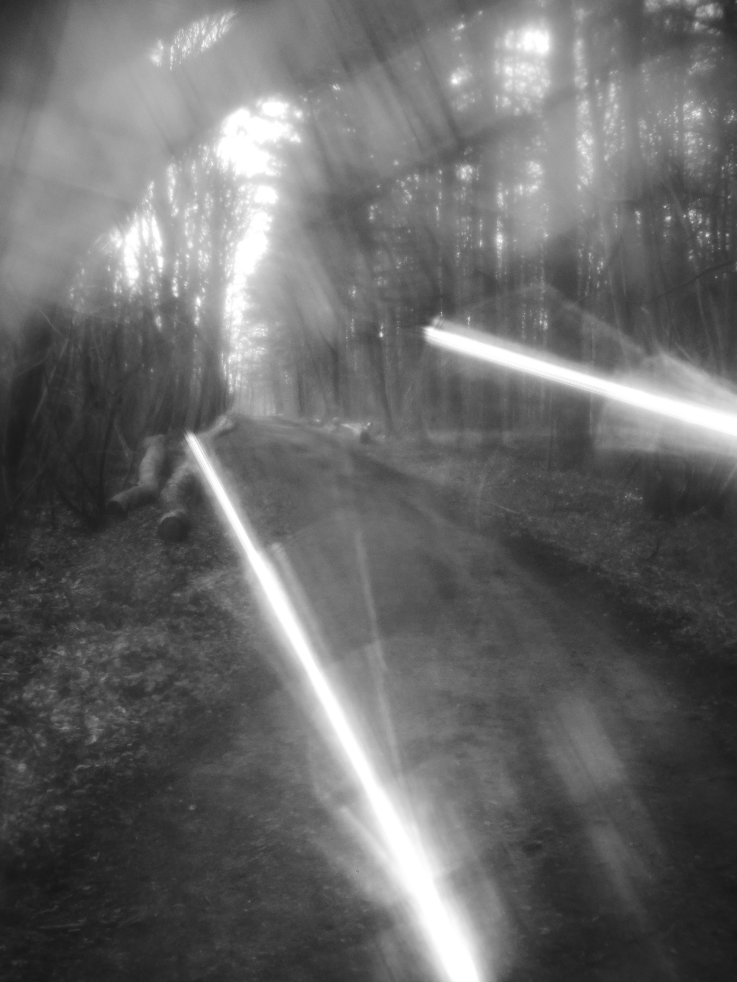 Demyd — art collection