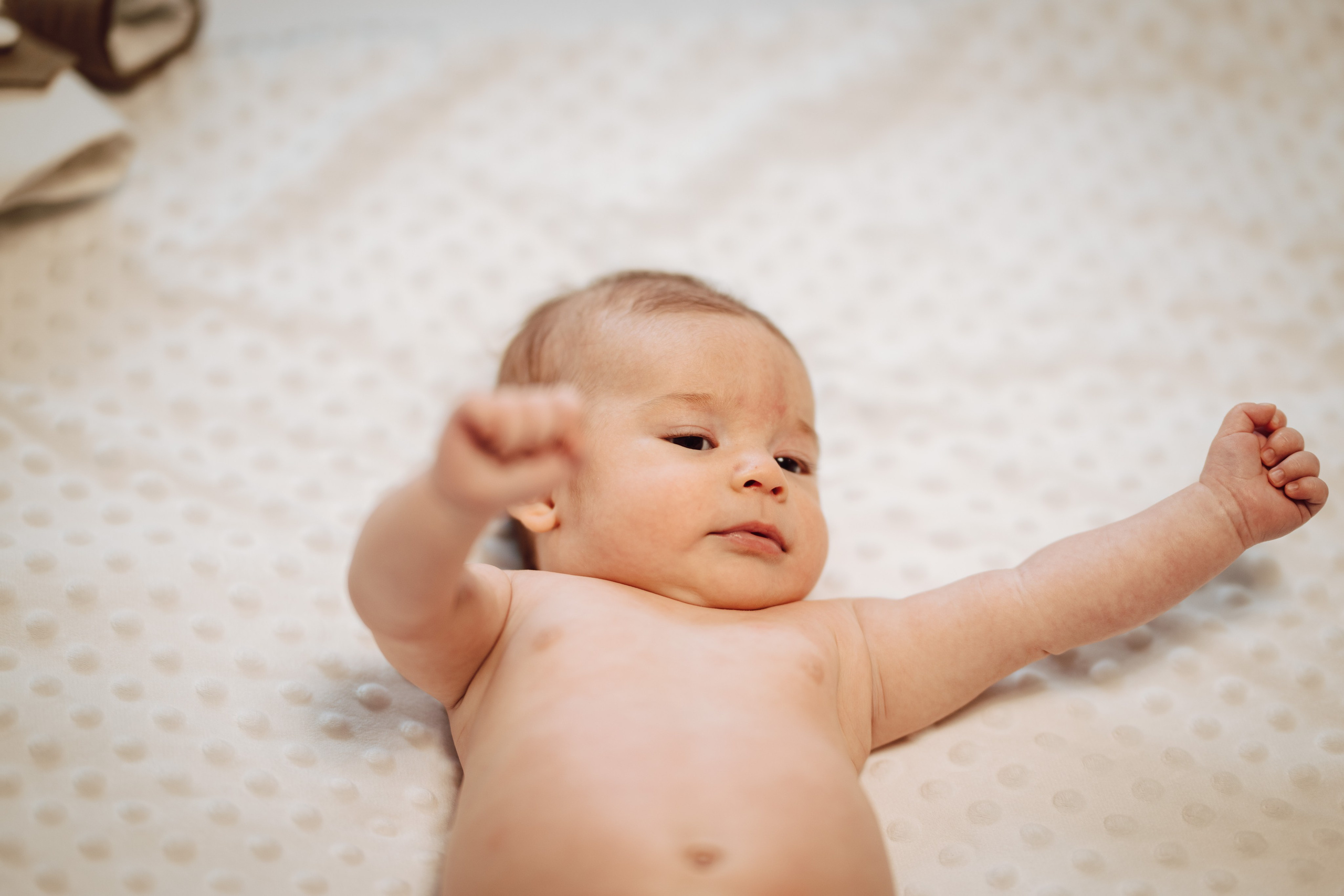 Selim. The Catalins Events — Wedding Photography & Videography