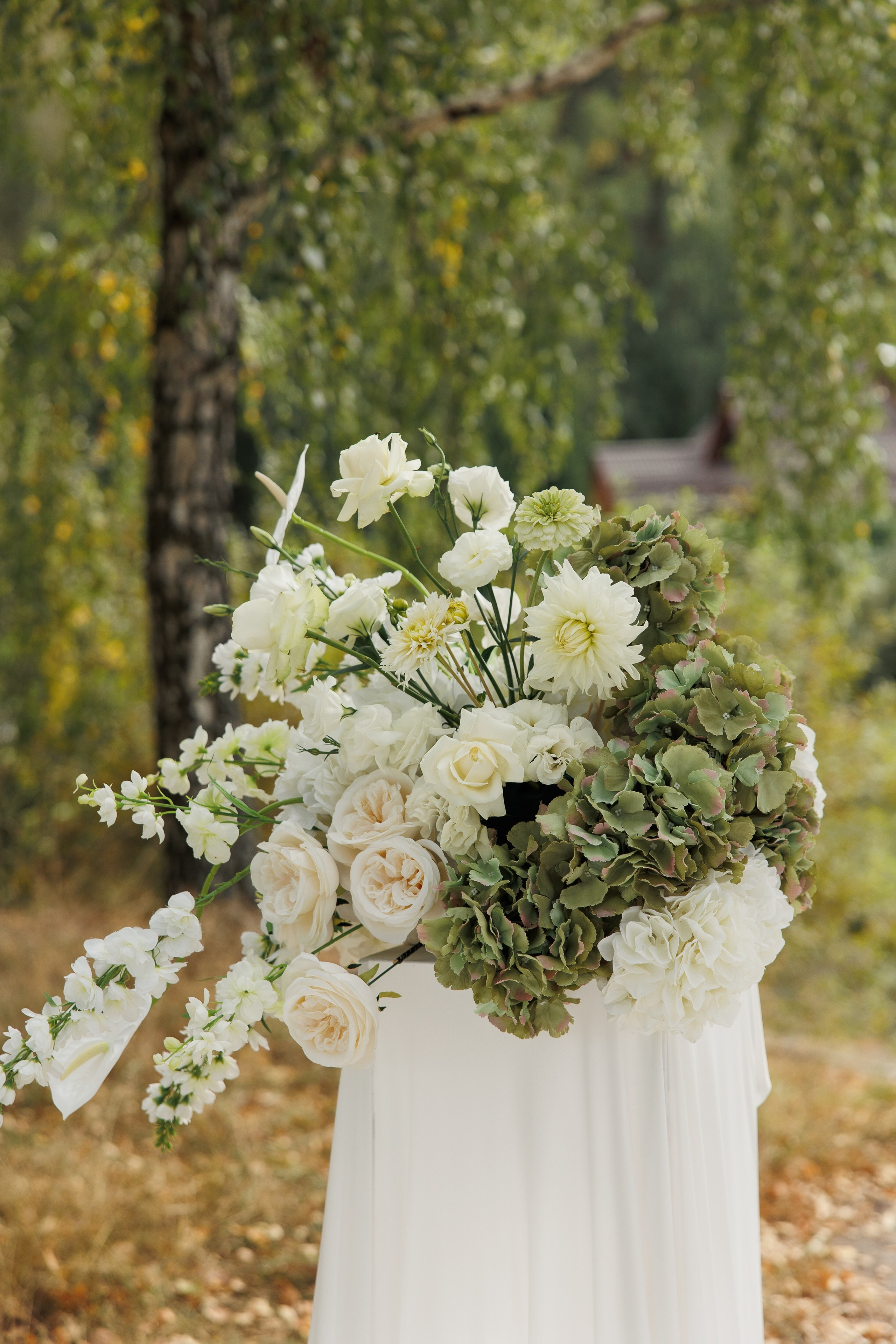 Inna Oleksandr. Ірина Терещук