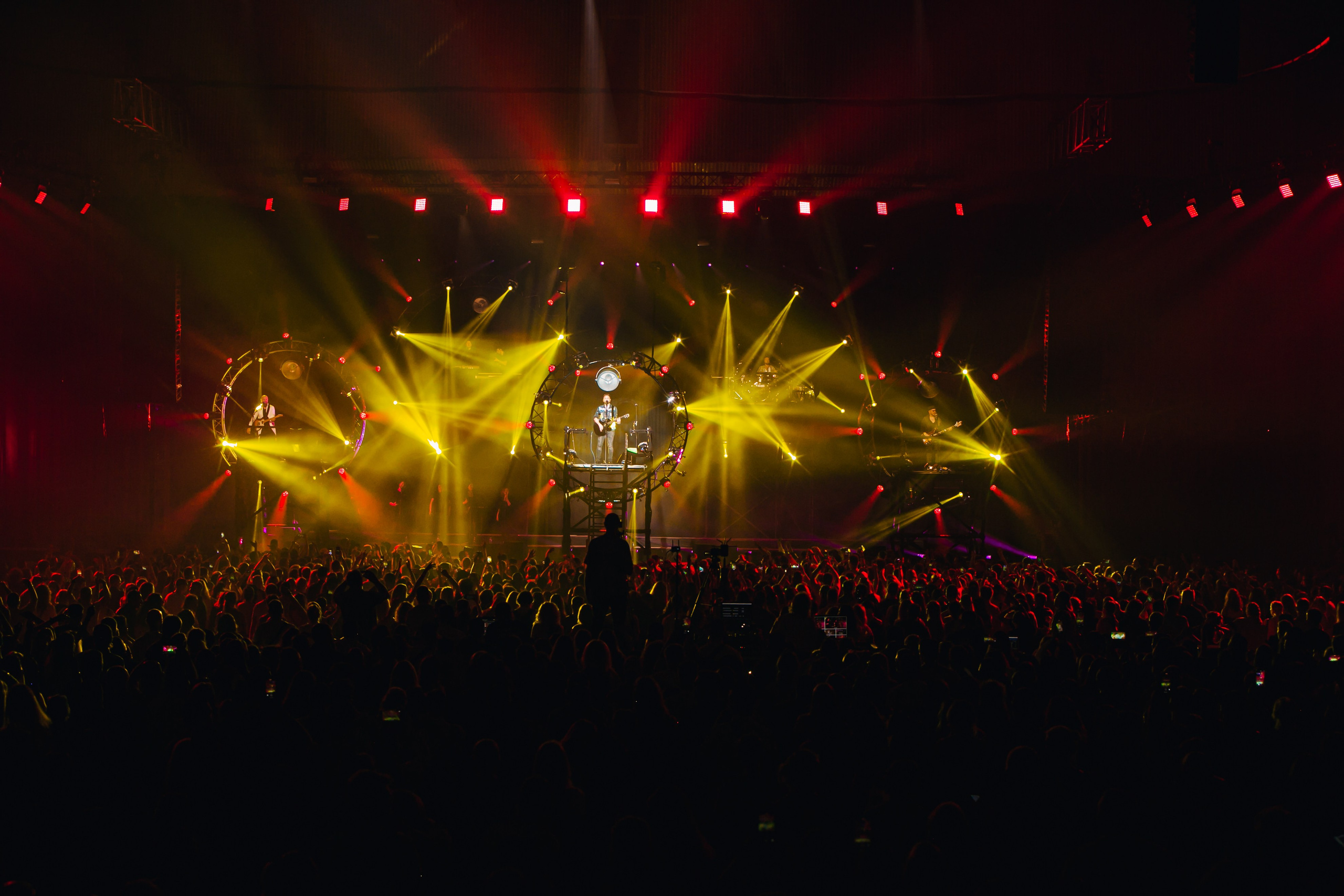 Скай. Репортажний фотограф/анімаліст КИЇВ